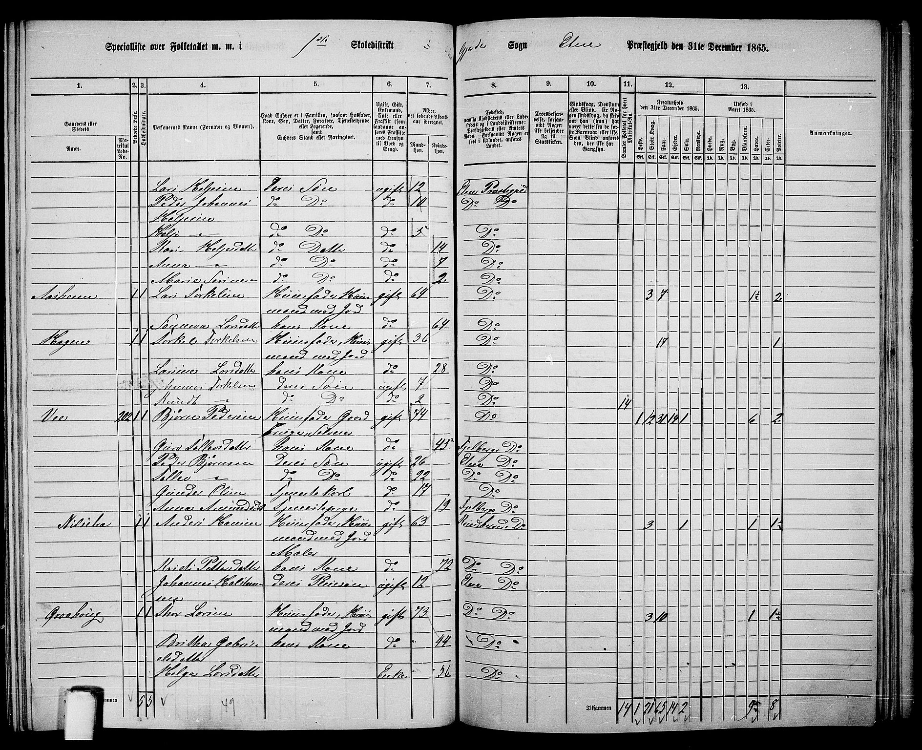 RA, 1865 census for Etne, 1865, p. 148