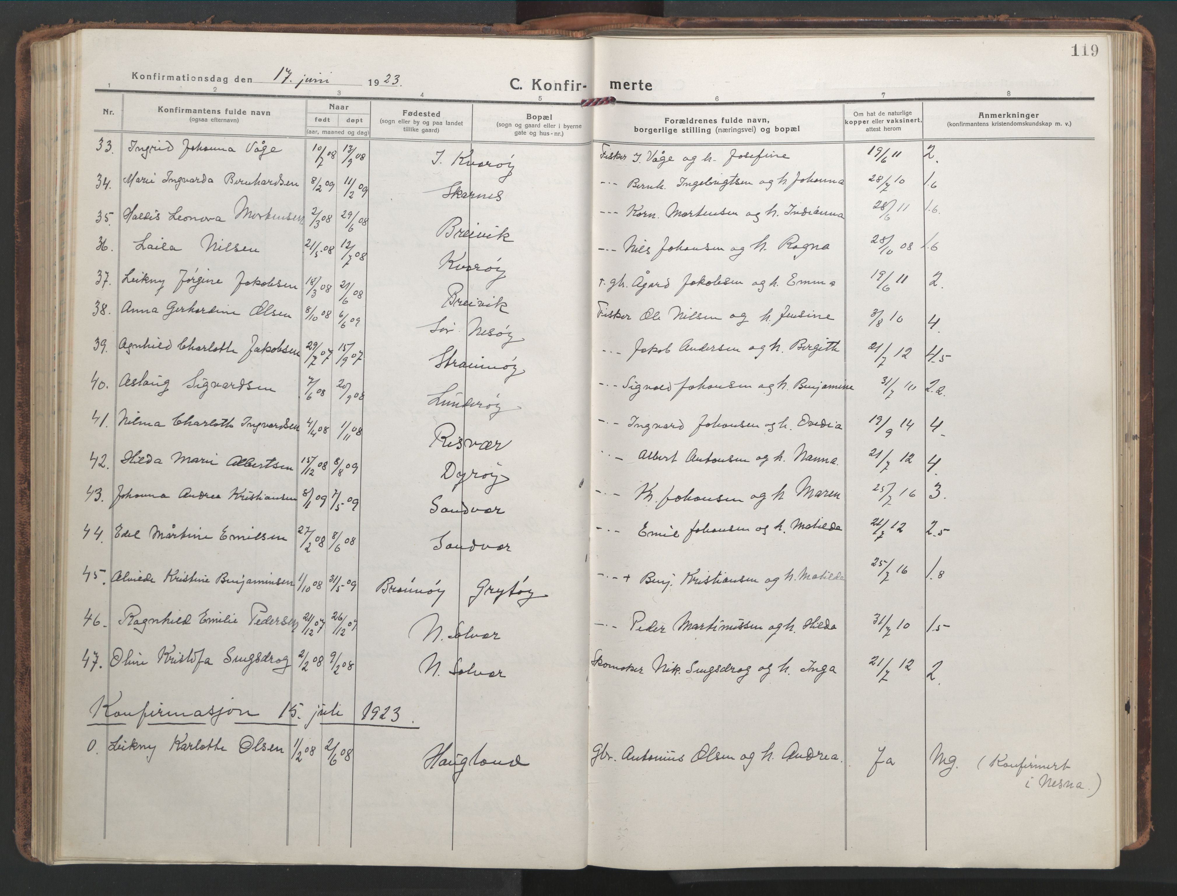 Ministerialprotokoller, klokkerbøker og fødselsregistre - Nordland, SAT/A-1459/839/L0574: Parish register (copy) no. 839C04, 1918-1950, p. 119