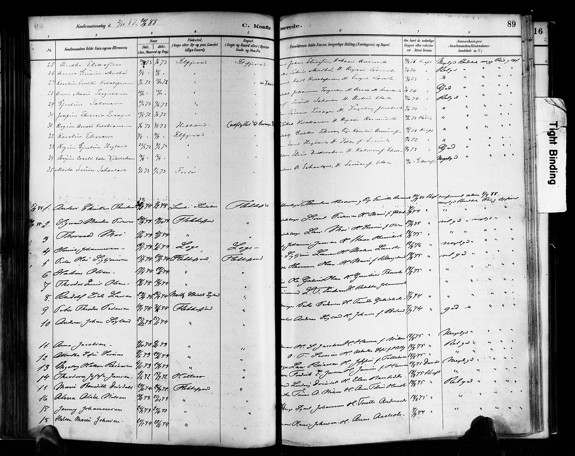 Flekkefjord sokneprestkontor, SAK/1111-0012/F/Fa/Faa/L0001: Parish register (official) no. A 1, 1885-1900, p. 89