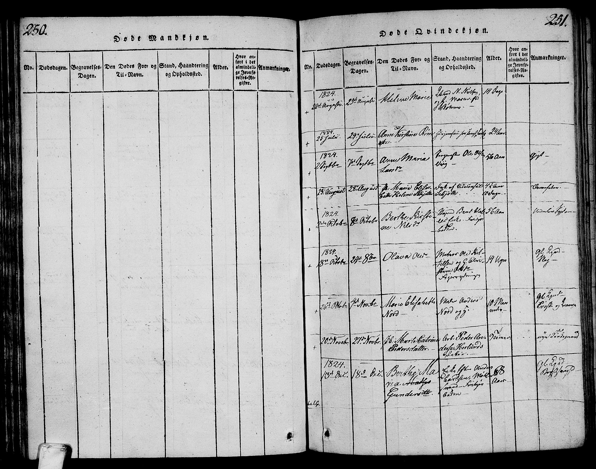 Larvik kirkebøker, AV/SAKO-A-352/F/Fa/L0001: Parish register (official) no. I 1, 1814-1825, p. 250-251