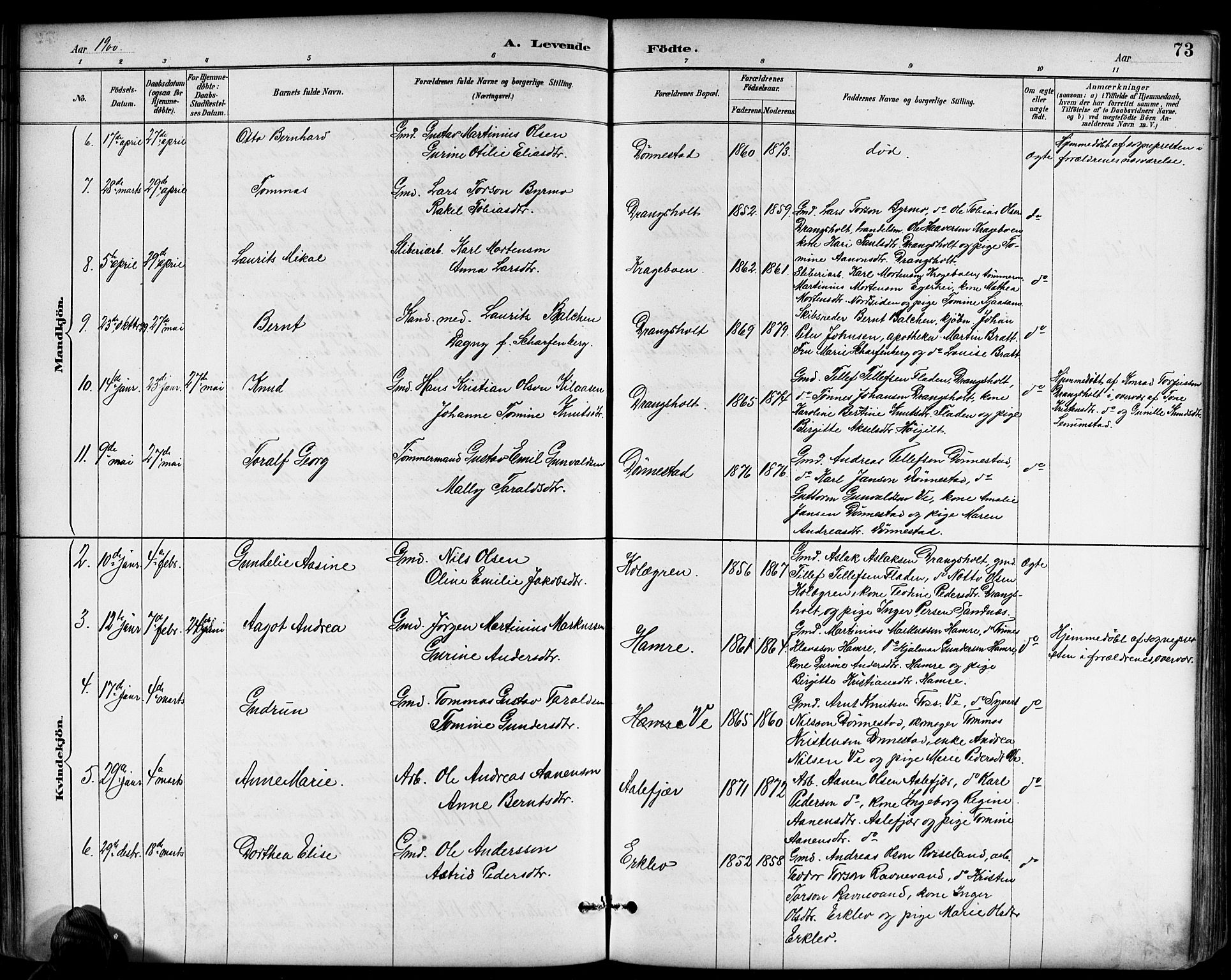 Tveit sokneprestkontor, AV/SAK-1111-0043/F/Fb/L0004: Parish register (copy) no. B 4, 1887-1914, p. 73