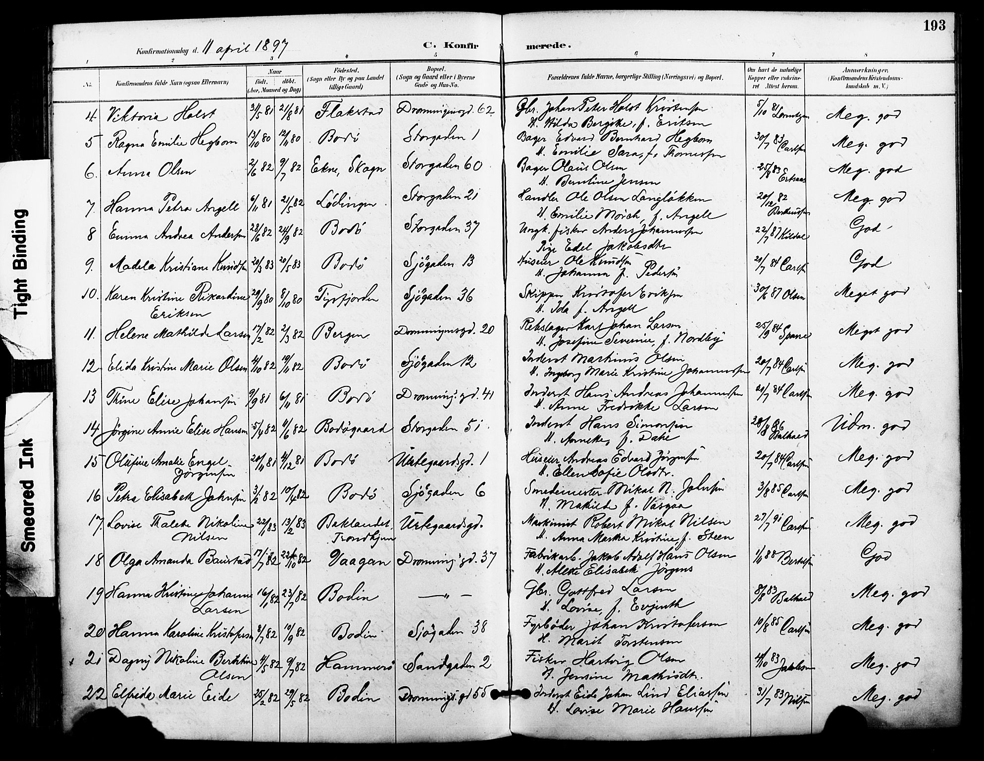 Ministerialprotokoller, klokkerbøker og fødselsregistre - Nordland, AV/SAT-A-1459/801/L0010: Parish register (official) no. 801A10, 1888-1899, p. 193