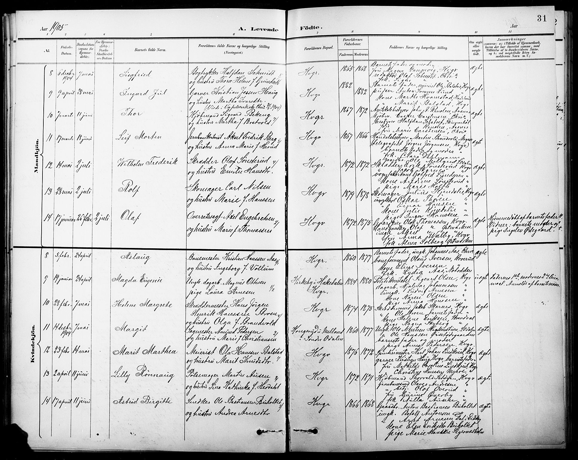 Vinger prestekontor, AV/SAH-PREST-024/H/Ha/Hab/L0005: Parish register (copy) no. 5, 1895-1920, p. 31