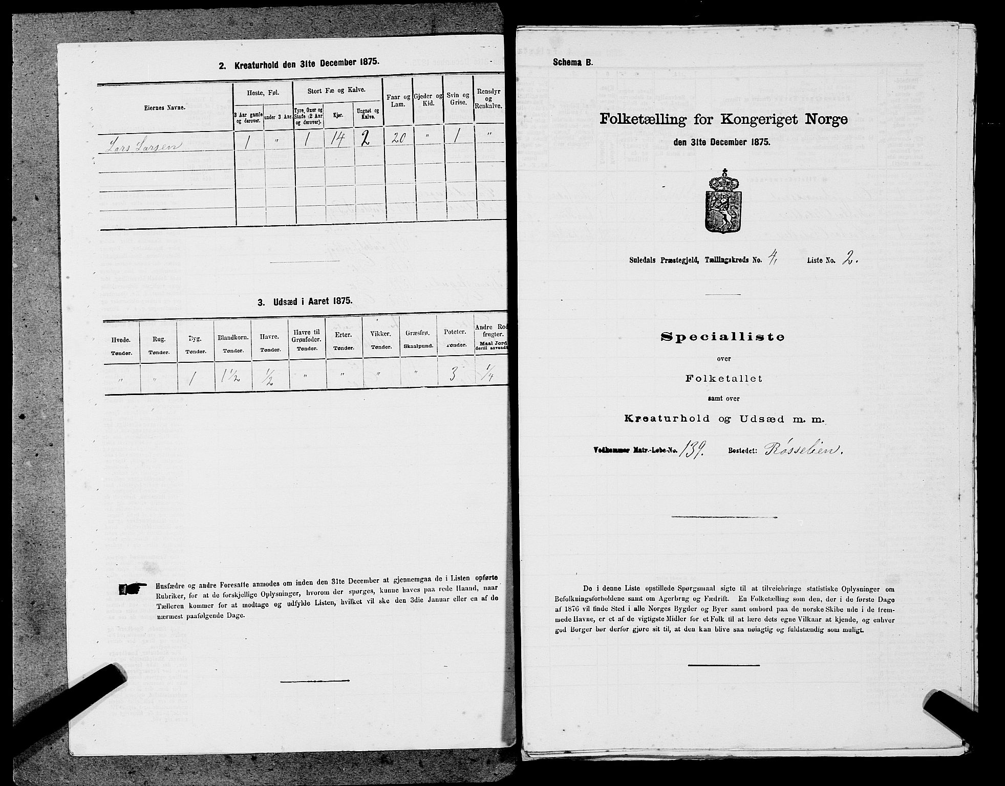 SAST, 1875 census for 1134P Suldal, 1875, p. 503