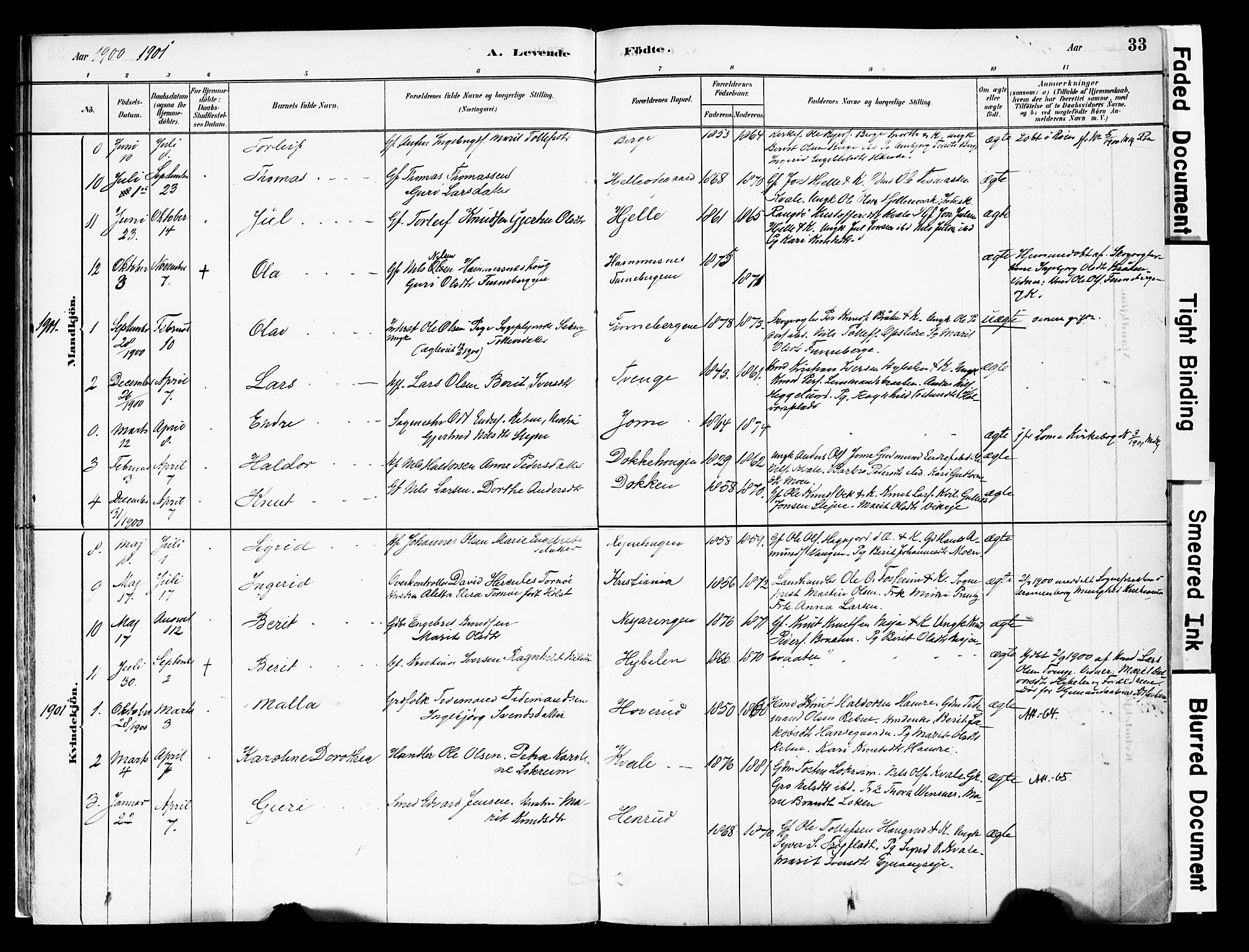 Vestre Slidre prestekontor, SAH/PREST-136/H/Ha/Haa/L0004: Parish register (official) no. 4, 1881-1911, p. 33