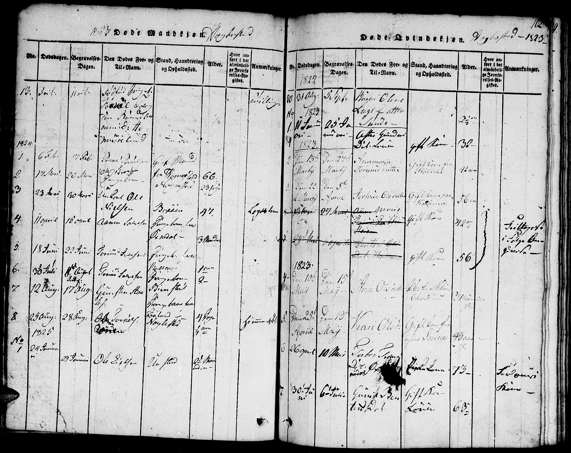 Hægebostad sokneprestkontor, AV/SAK-1111-0024/F/Fa/Faa/L0002: Parish register (official) no. A 2 /1, 1816-1825, p. 102