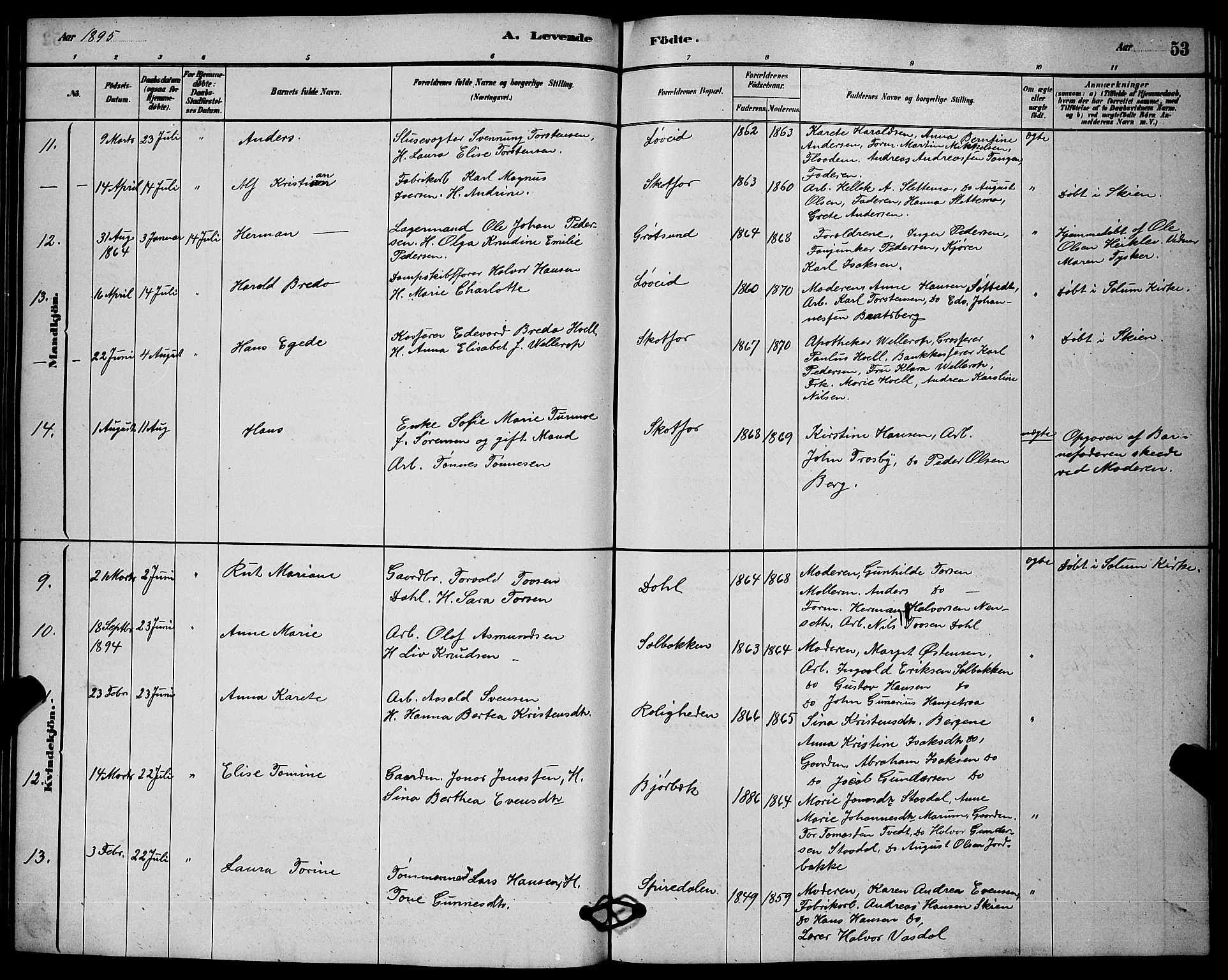 Solum kirkebøker, AV/SAKO-A-306/G/Gb/L0003: Parish register (copy) no. II 3, 1880-1898, p. 53