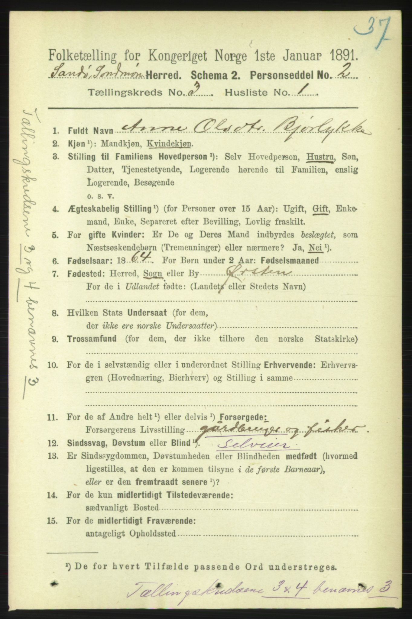 RA, 1891 census for 1514 Sande, 1891, p. 455