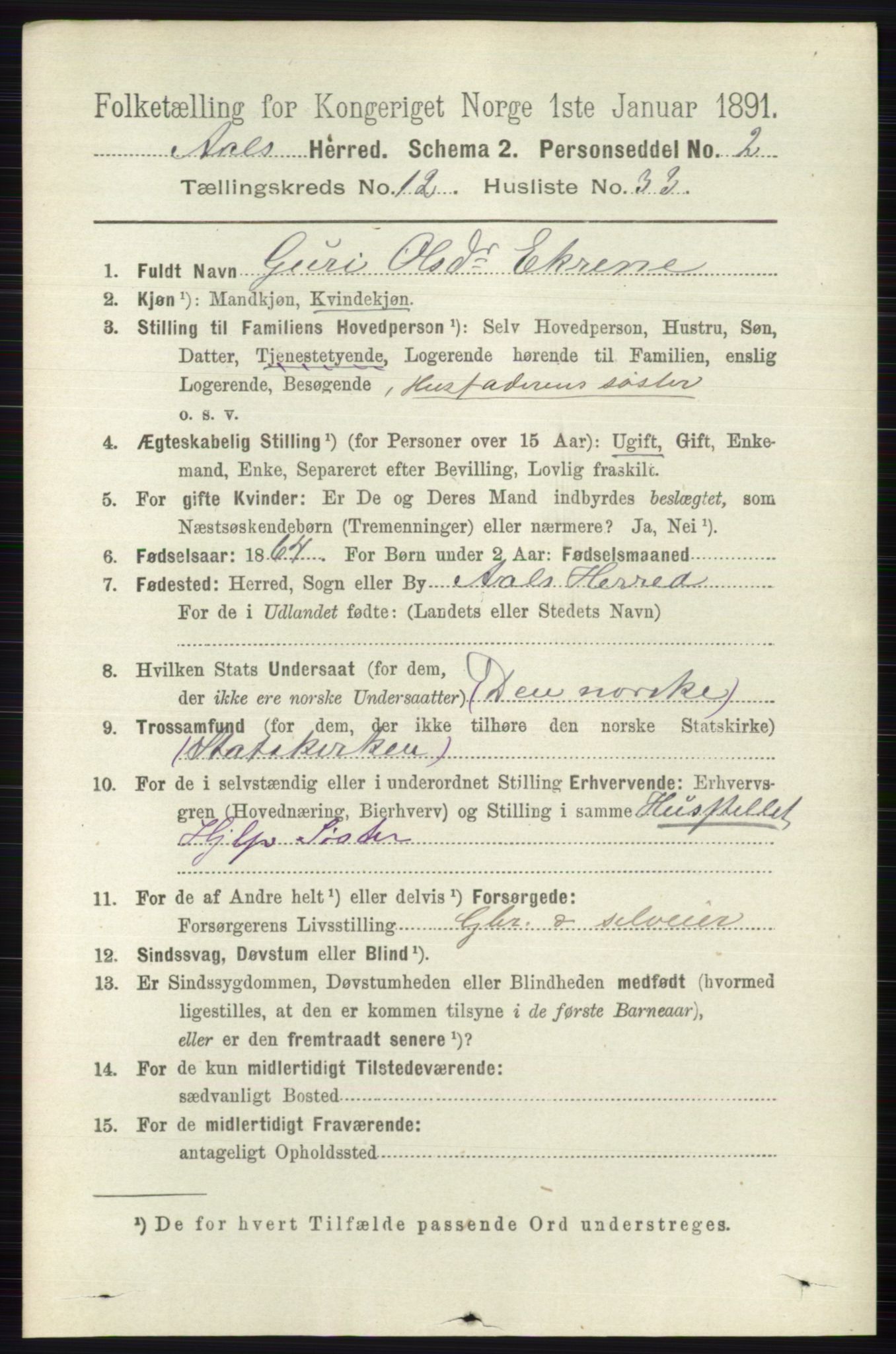 RA, 1891 census for 0619 Ål, 1891, p. 3198