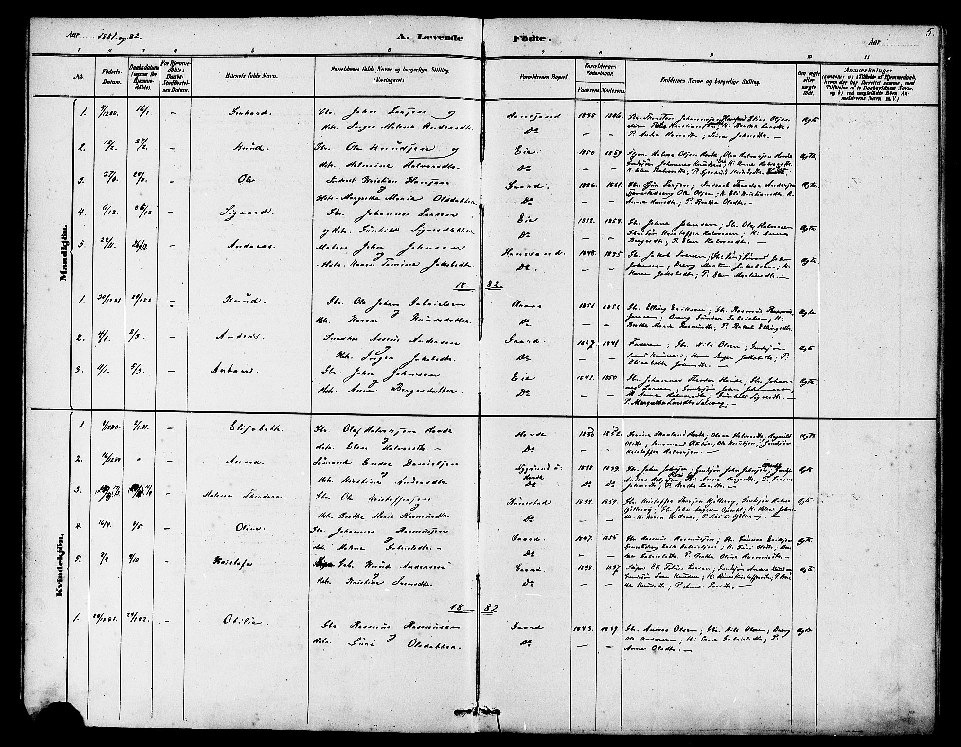 Finnøy sokneprestkontor, SAST/A-101825/H/Ha/Haa/L0009: Parish register (official) no. A 9, 1879-1888, p. 5