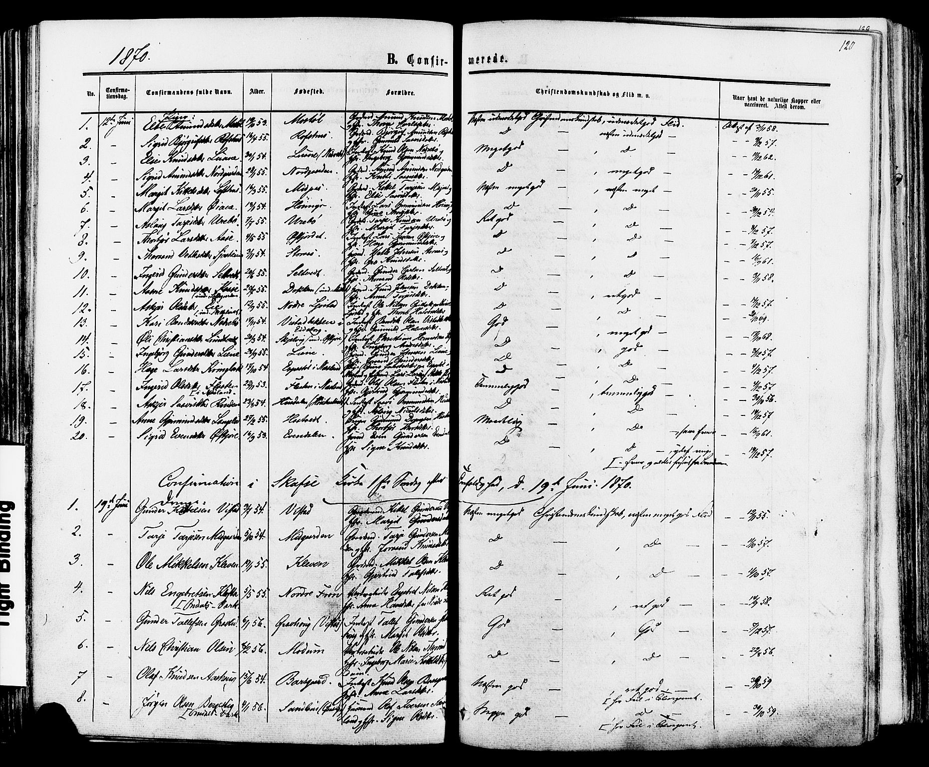 Mo kirkebøker, SAKO/A-286/F/Fa/L0006: Parish register (official) no. I 6, 1865-1885, p. 120