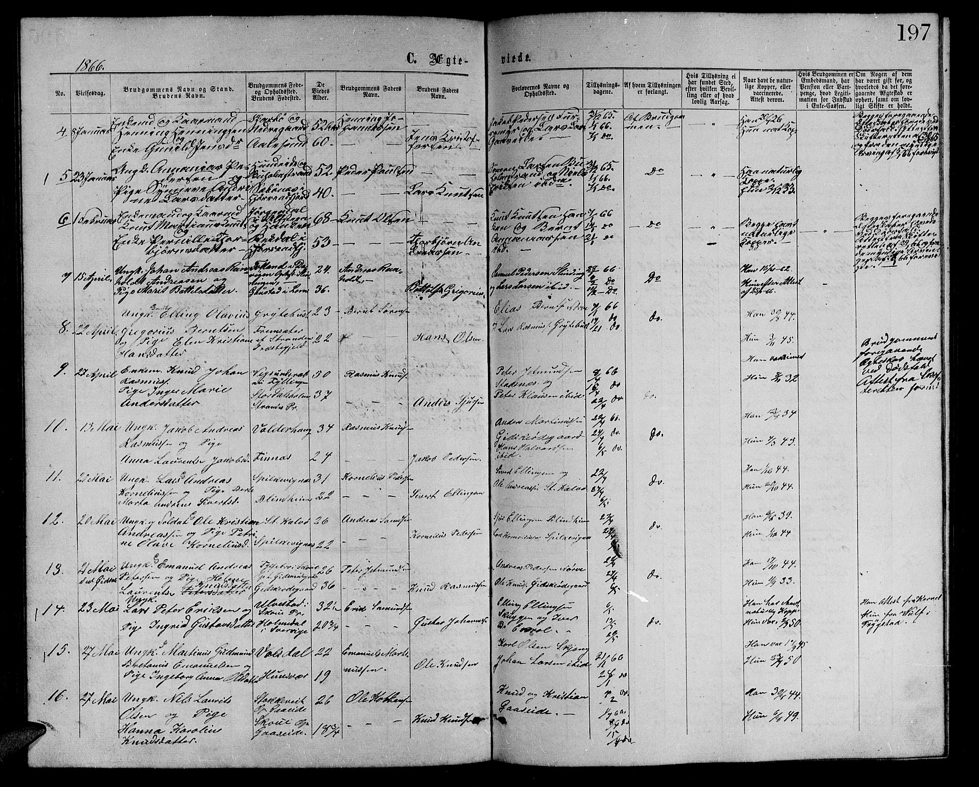 Ministerialprotokoller, klokkerbøker og fødselsregistre - Møre og Romsdal, AV/SAT-A-1454/528/L0428: Parish register (copy) no. 528C09, 1864-1880, p. 197