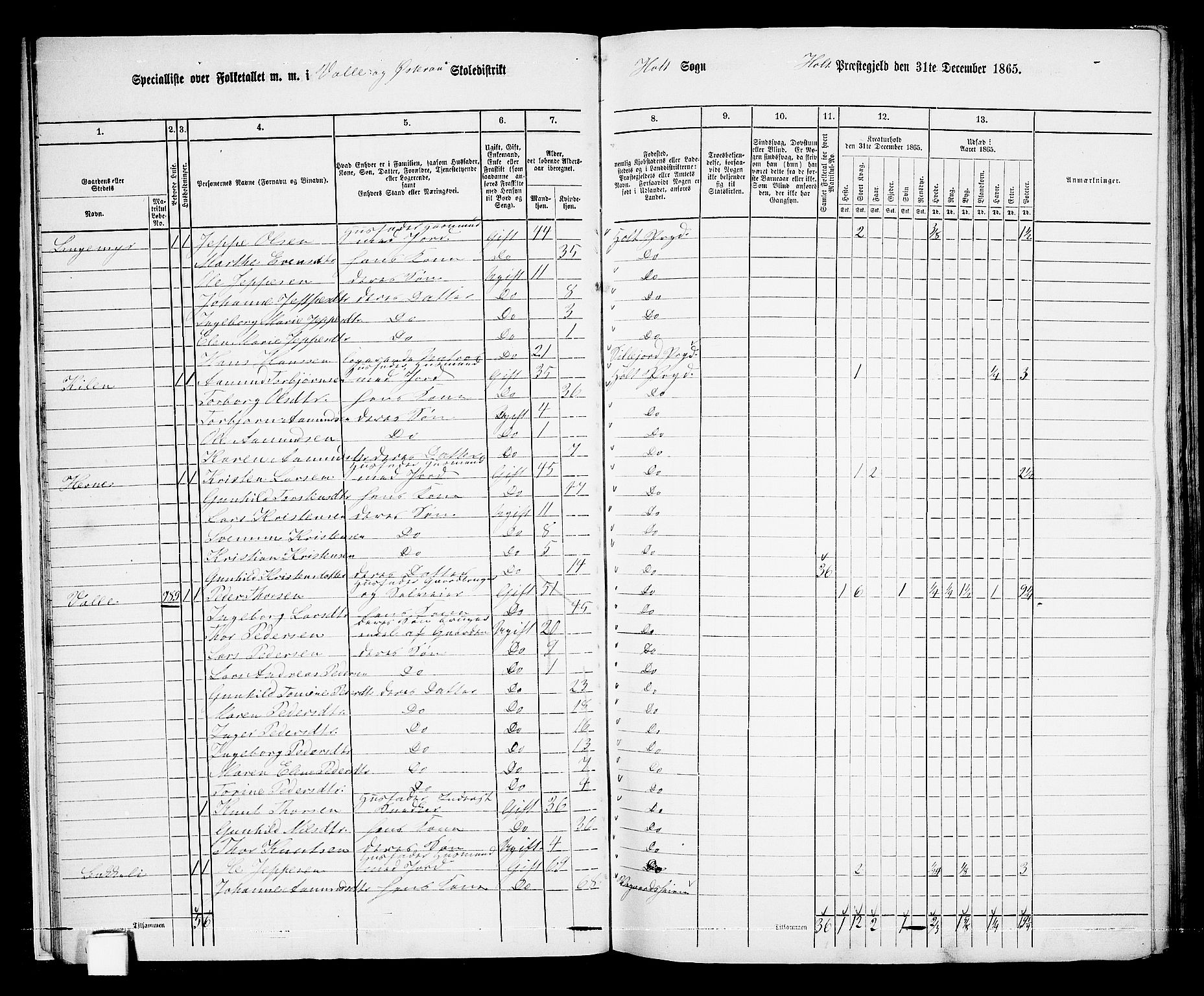 RA, 1865 census for Holt/Holt, 1865, p. 22