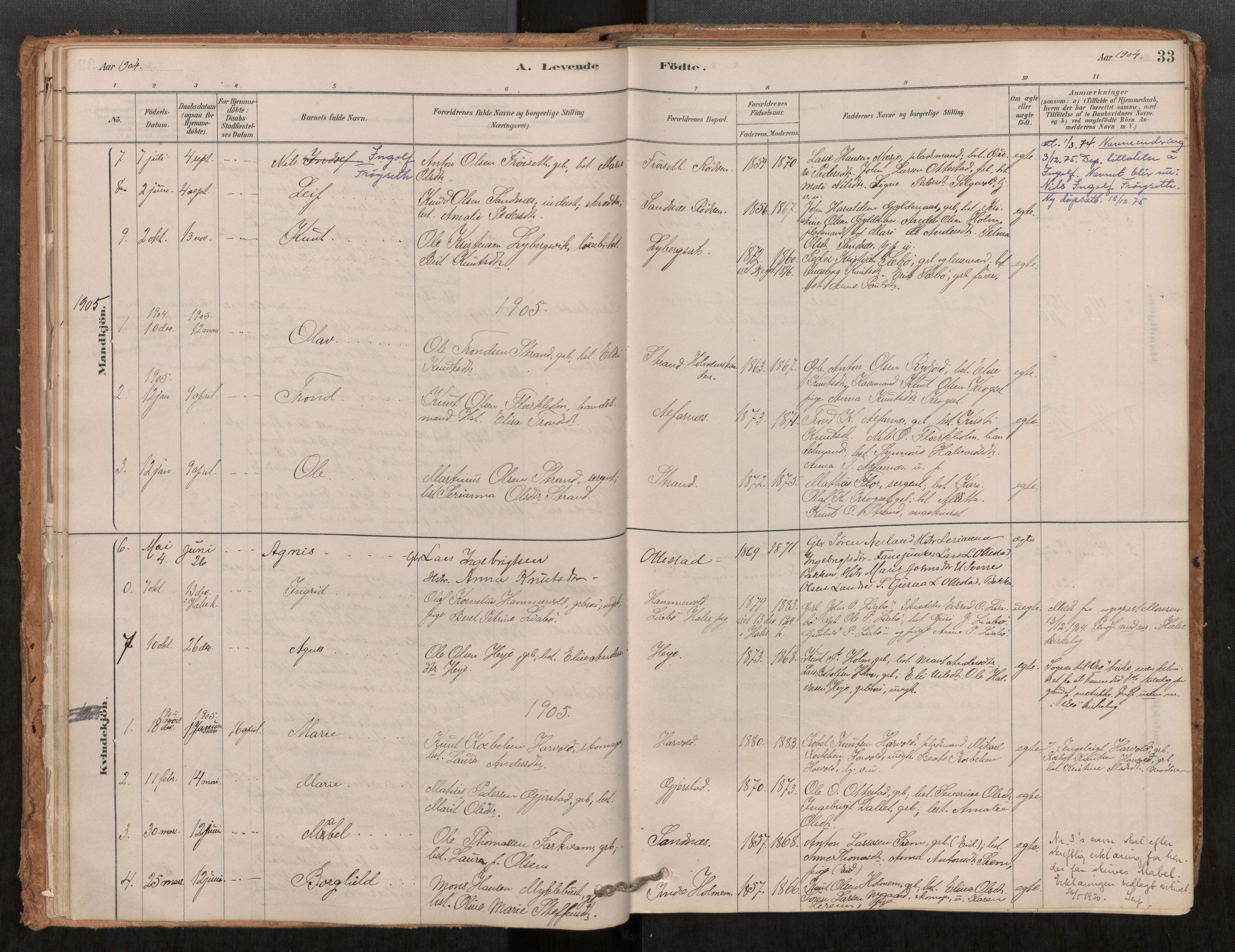 Ministerialprotokoller, klokkerbøker og fødselsregistre - Møre og Romsdal, AV/SAT-A-1454/548/L0615: Parish register (official) no. 548A02, 1878-1906, p. 33