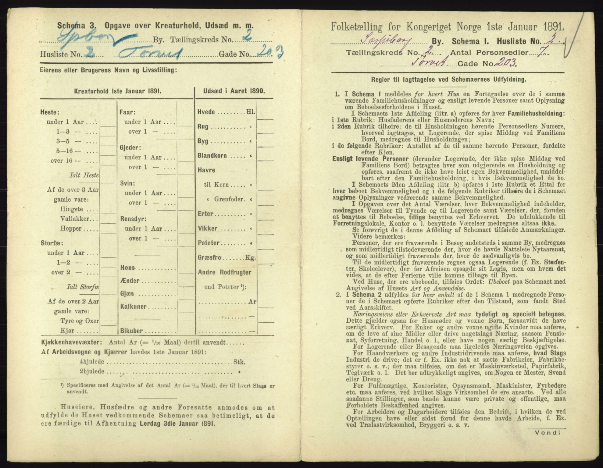 RA, 1891 census for 0102 Sarpsborg, 1891, p. 1073