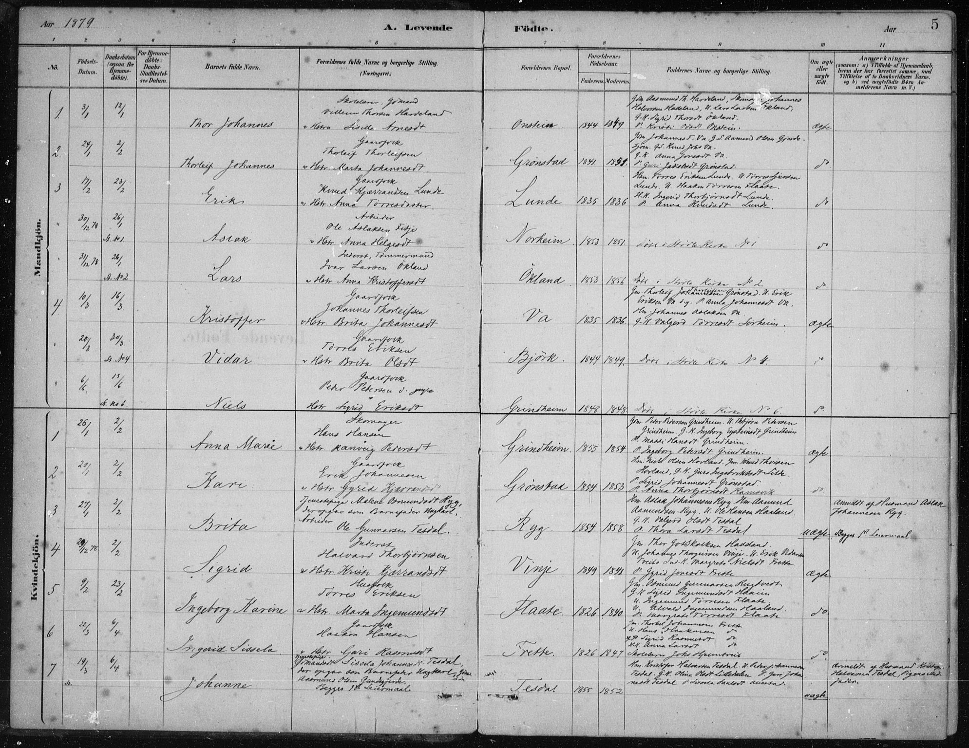 Etne sokneprestembete, SAB/A-75001/H/Haa: Parish register (official) no. D  1, 1879-1919, p. 5