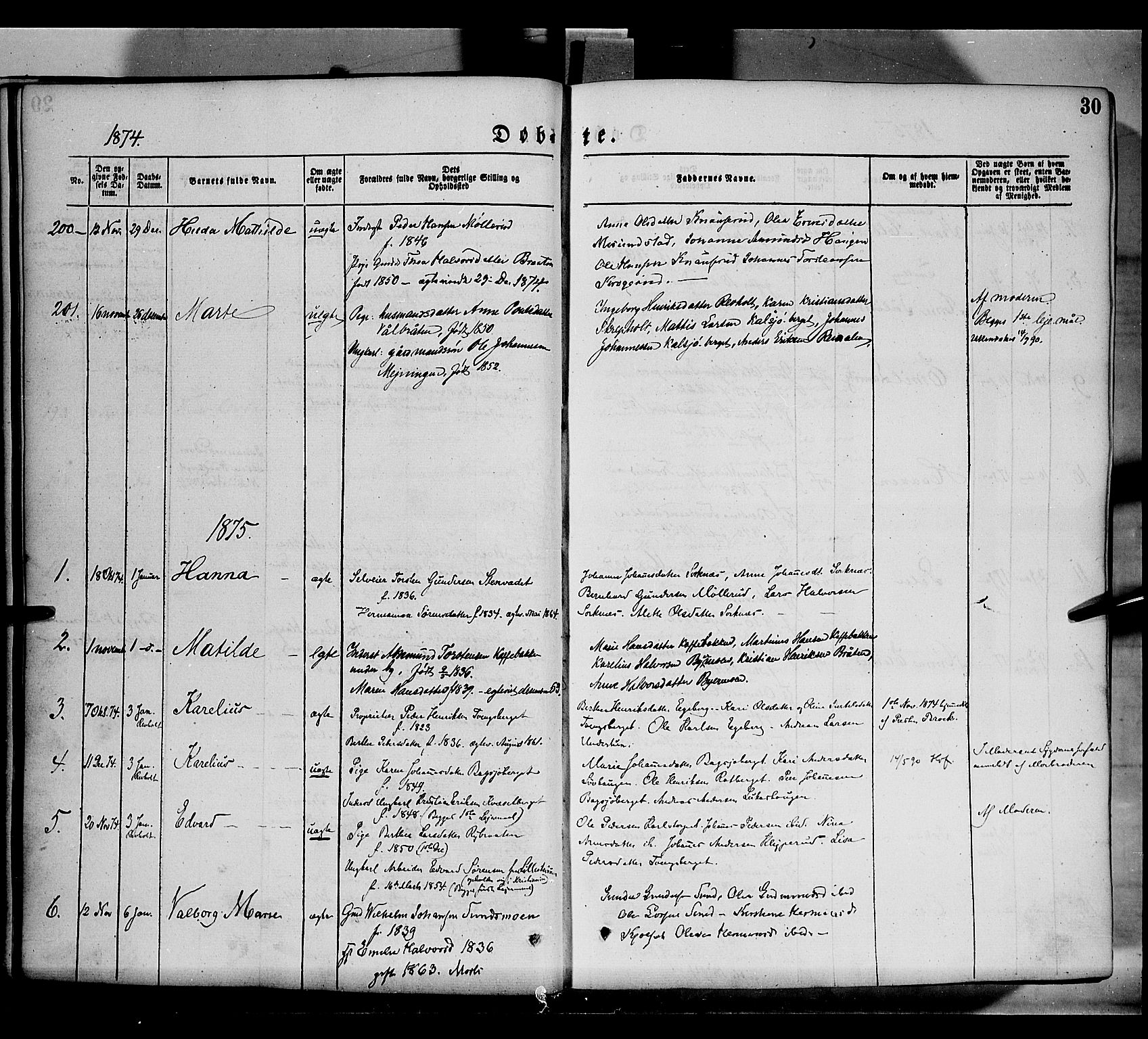 Grue prestekontor, AV/SAH-PREST-036/H/Ha/Haa/L0011: Parish register (official) no. 11, 1873-1880, p. 30