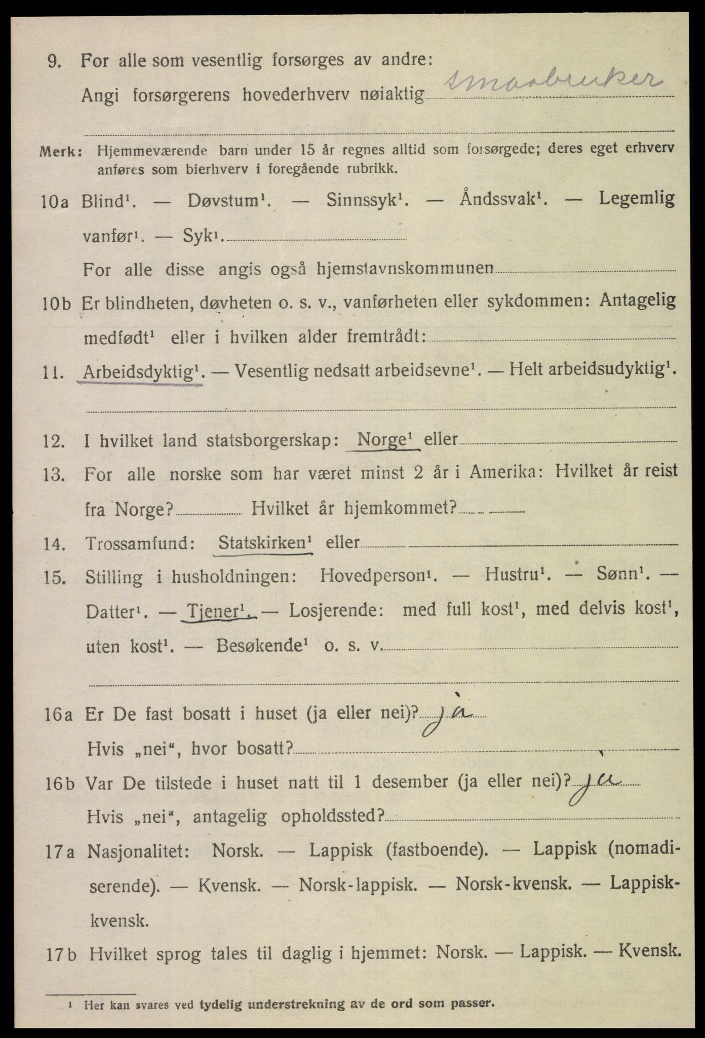 SAT, 1920 census for Namdalseid, 1920, p. 1341