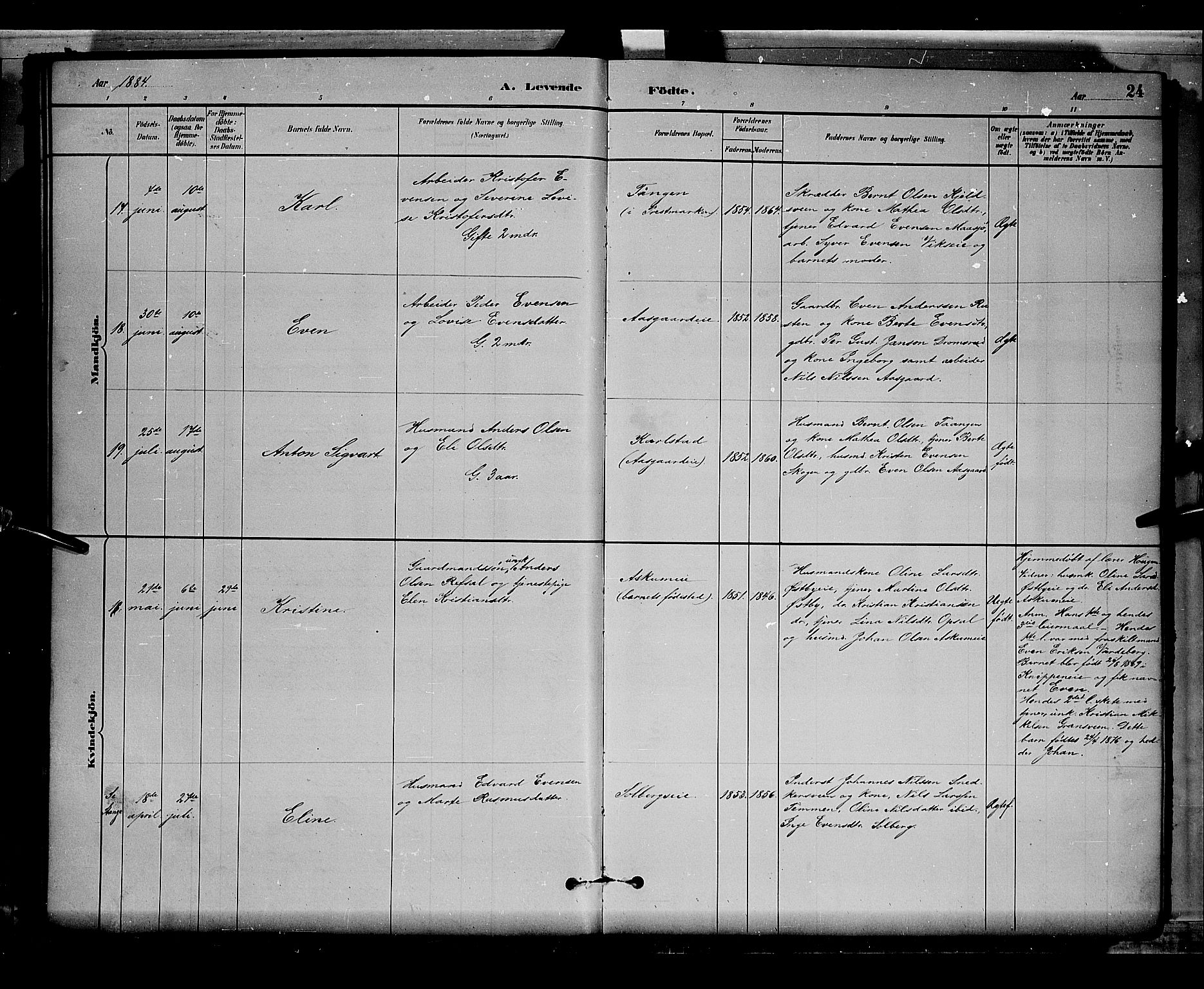 Stange prestekontor, AV/SAH-PREST-002/L/L0008: Parish register (copy) no. 8, 1882-1895, p. 24