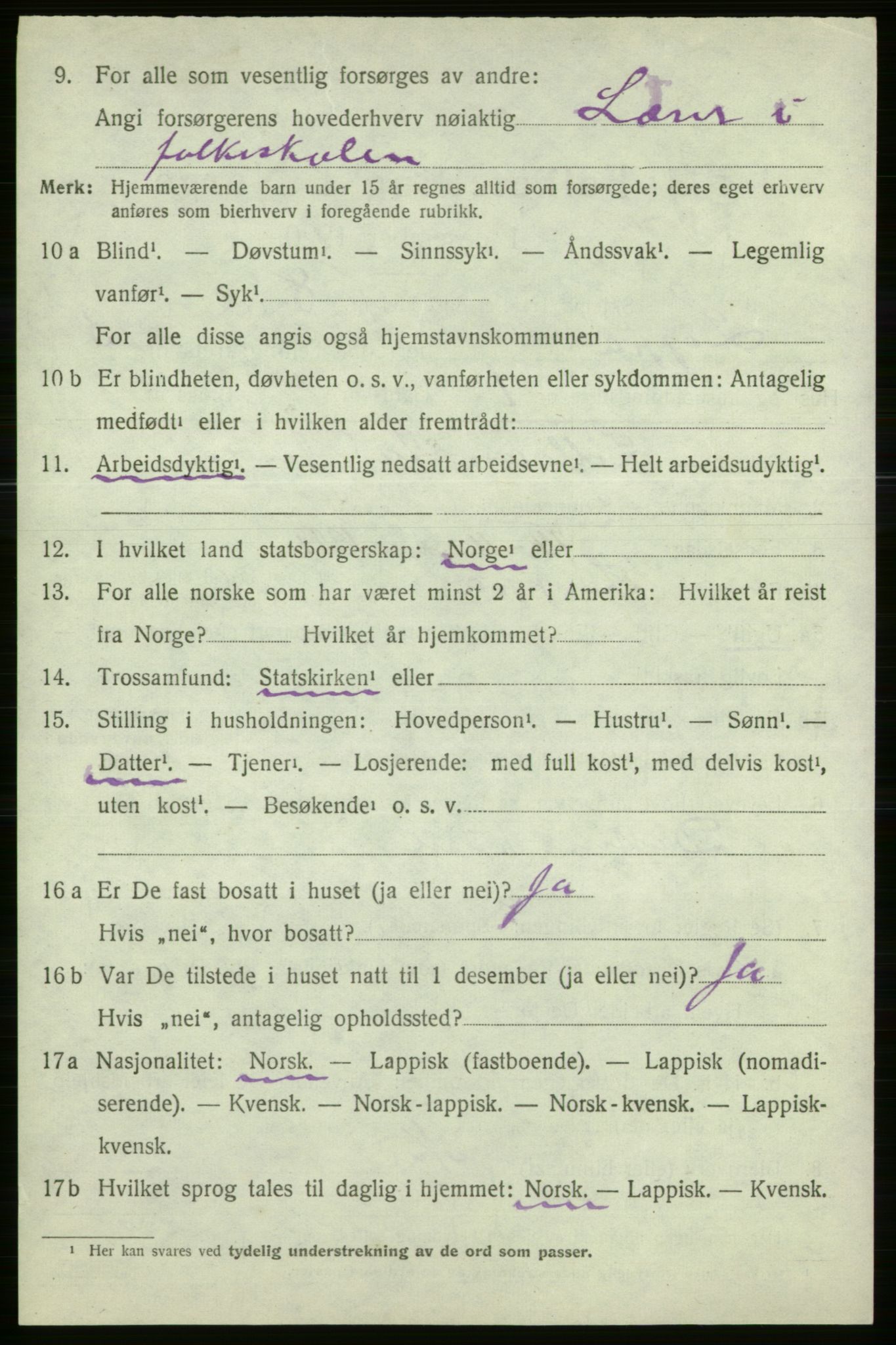 SATØ, 1920 census for Loppa, 1920, p. 1029