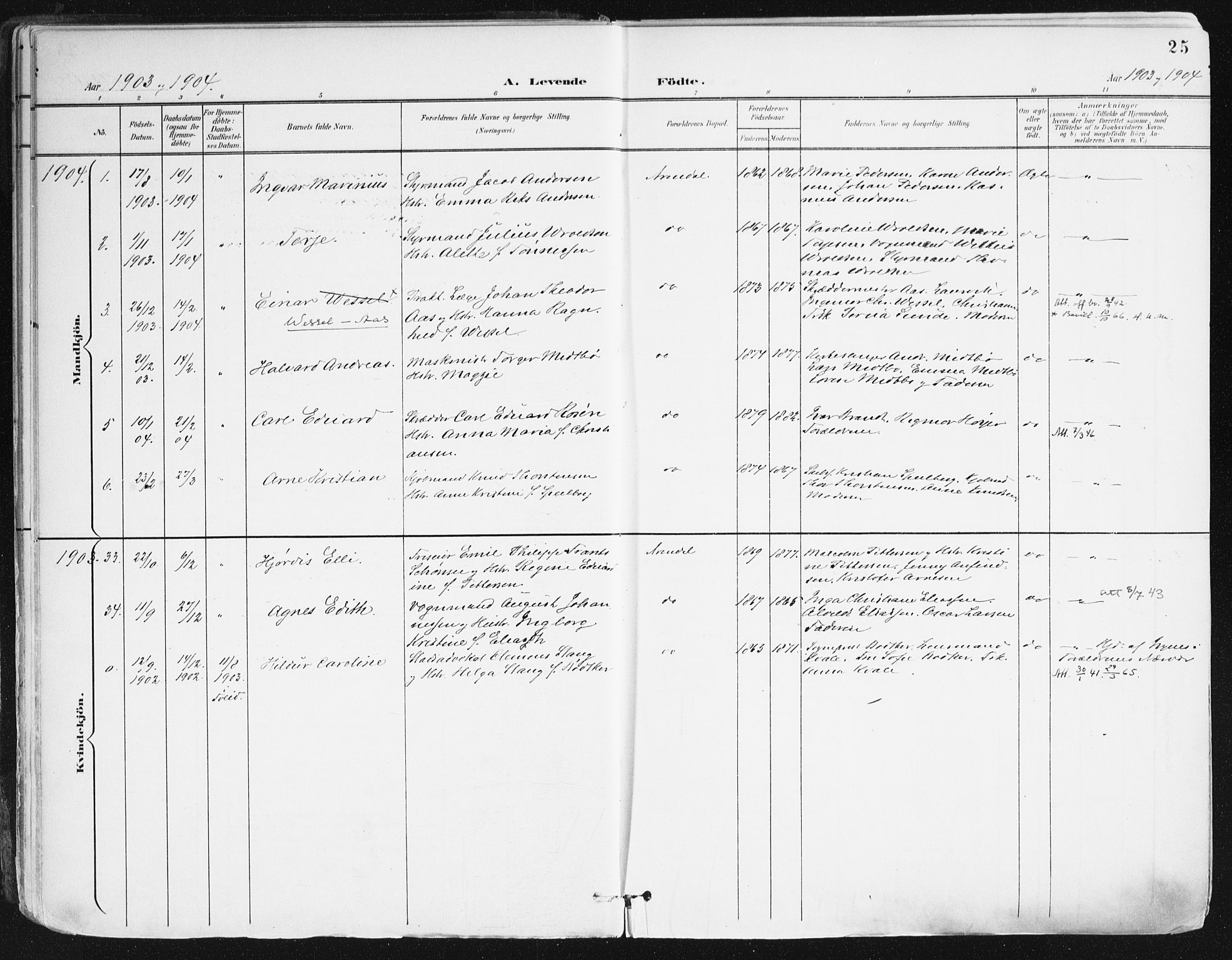 Arendal sokneprestkontor, Trefoldighet, SAK/1111-0040/F/Fa/L0010: Parish register (official) no. A 10, 1900-1919, p. 25