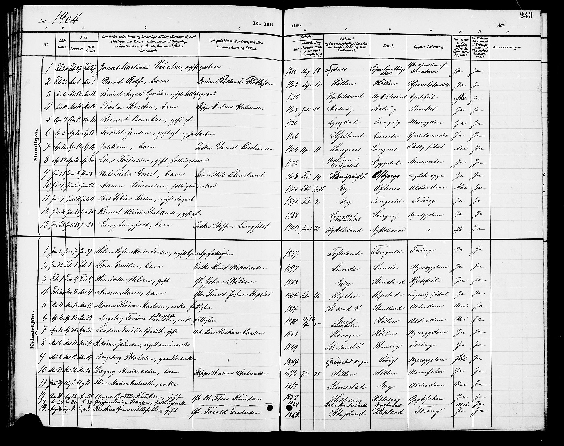 Søgne sokneprestkontor, SAK/1111-0037/F/Fb/Fbb/L0006: Parish register (copy) no. B 6, 1892-1911, p. 243