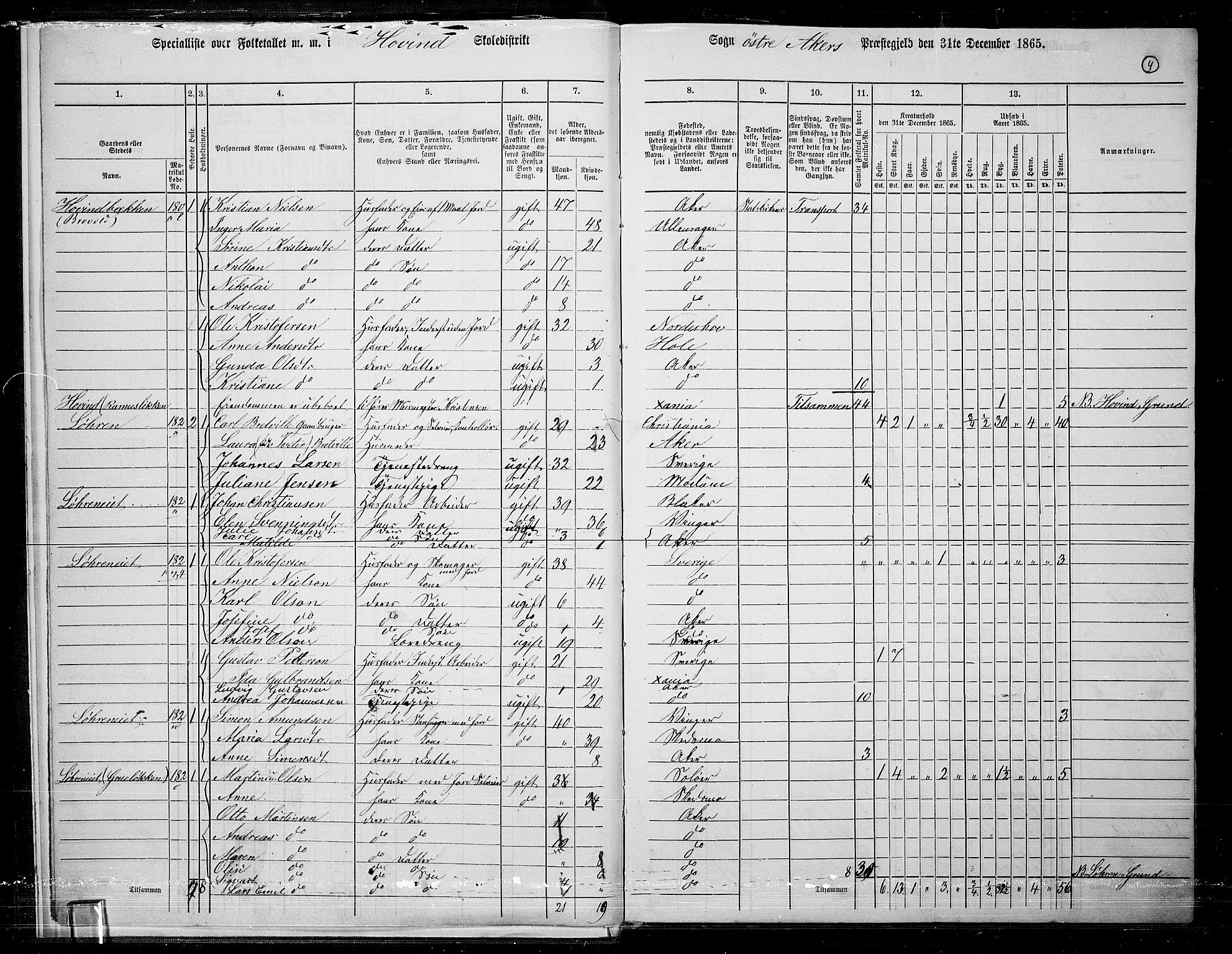 RA, 1865 census for Østre Aker, 1865, p. 228