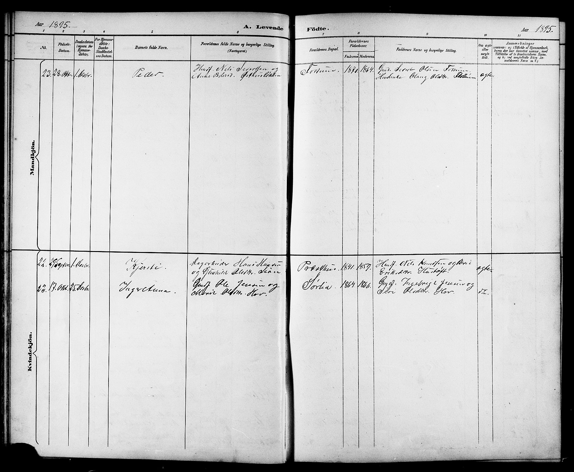 Ministerialprotokoller, klokkerbøker og fødselsregistre - Sør-Trøndelag, SAT/A-1456/689/L1044: Parish register (copy) no. 689C03, 1893-1922