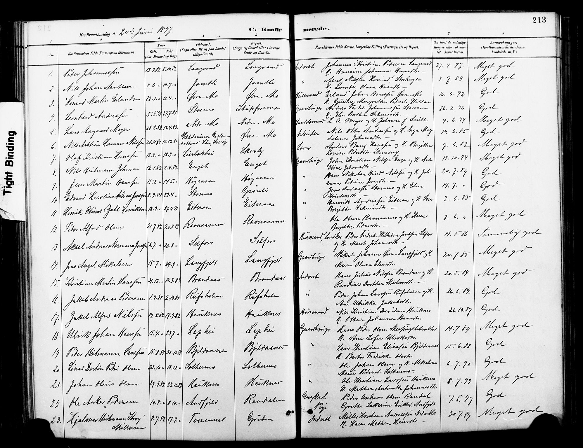 Ministerialprotokoller, klokkerbøker og fødselsregistre - Nordland, SAT/A-1459/827/L0421: Parish register (copy) no. 827C10, 1887-1906, p. 213