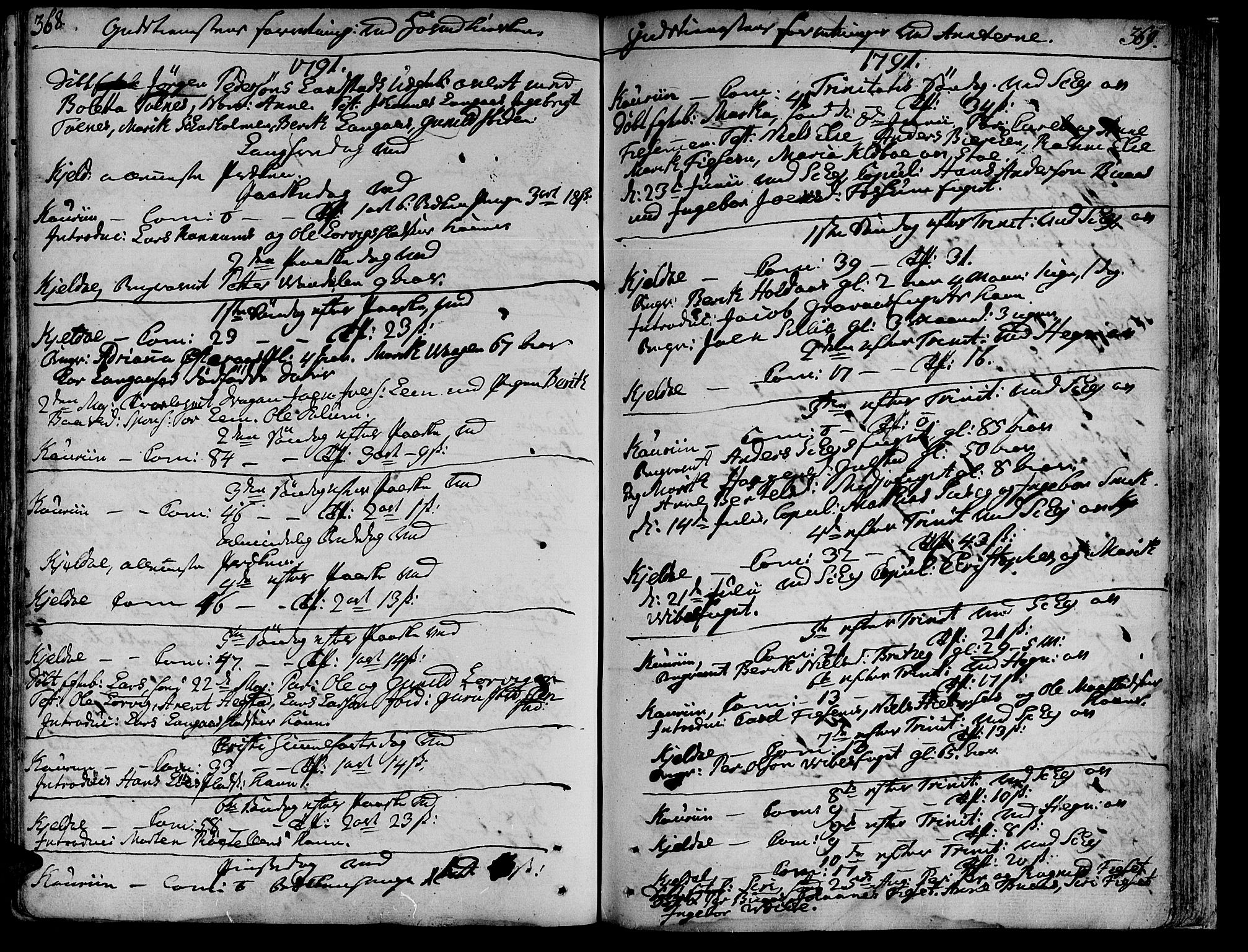 Ministerialprotokoller, klokkerbøker og fødselsregistre - Nord-Trøndelag, AV/SAT-A-1458/735/L0331: Parish register (official) no. 735A02, 1762-1794, p. 368-369