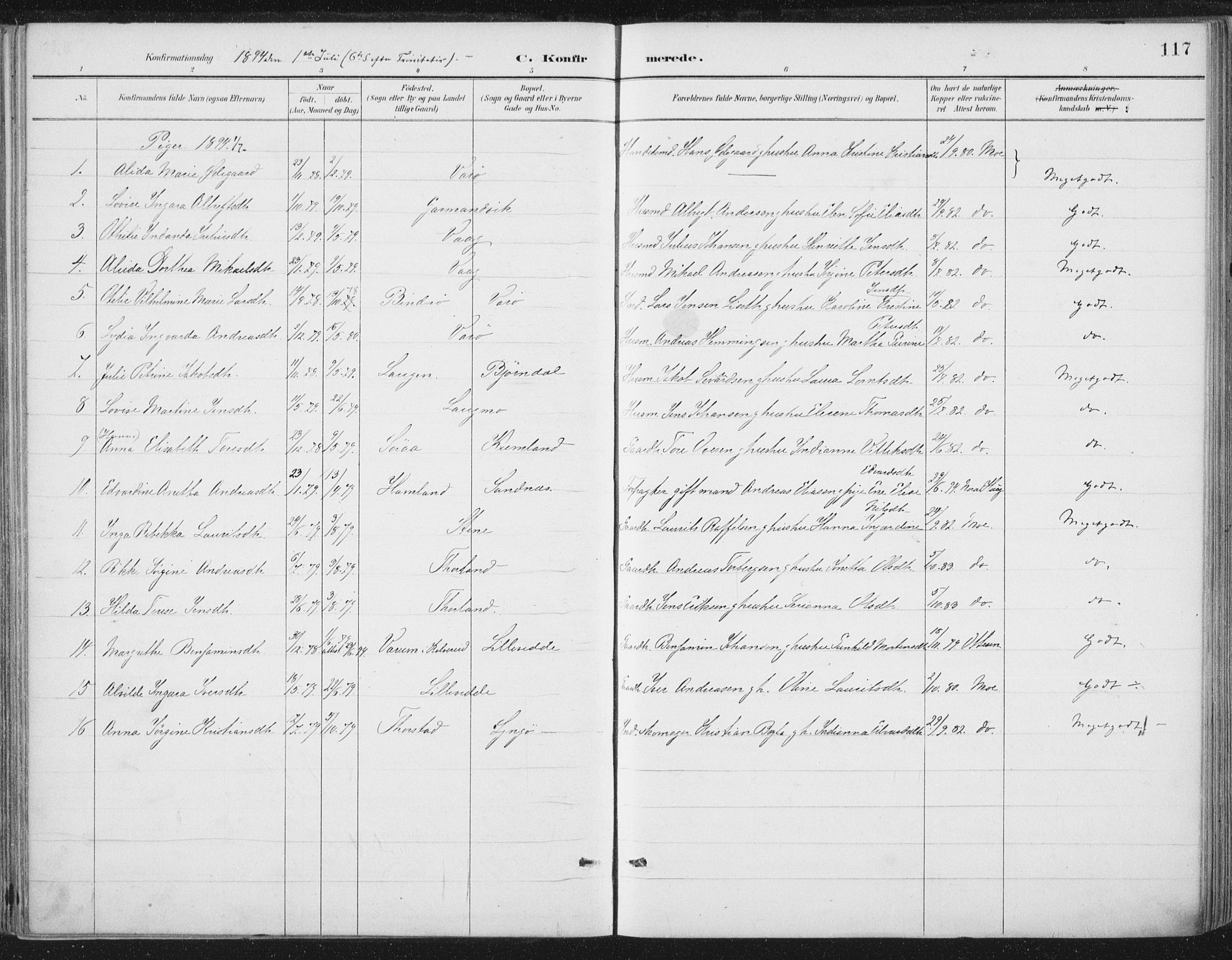 Ministerialprotokoller, klokkerbøker og fødselsregistre - Nord-Trøndelag, SAT/A-1458/784/L0673: Parish register (official) no. 784A08, 1888-1899, p. 117
