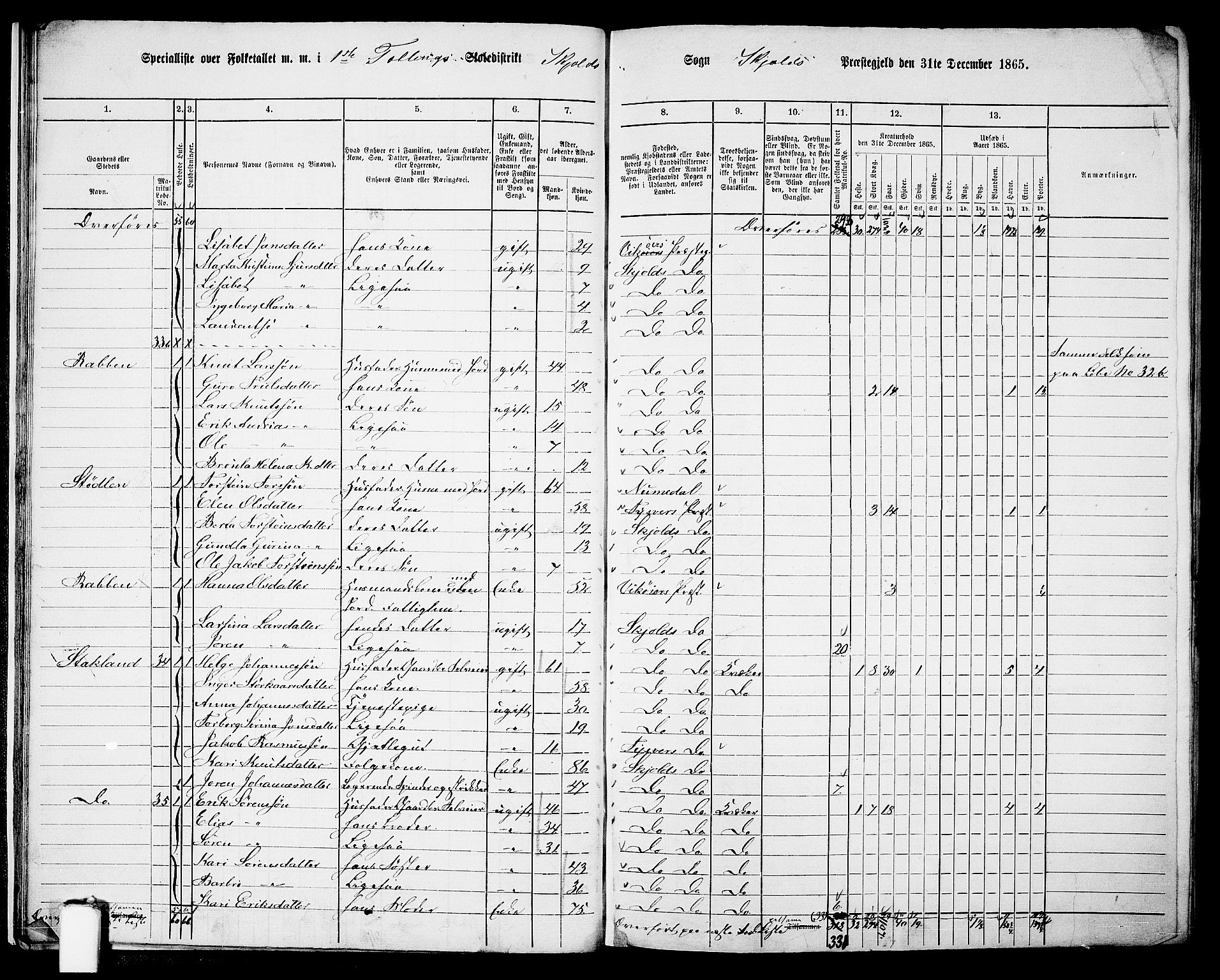 RA, 1865 census for Skjold, 1865, p. 22