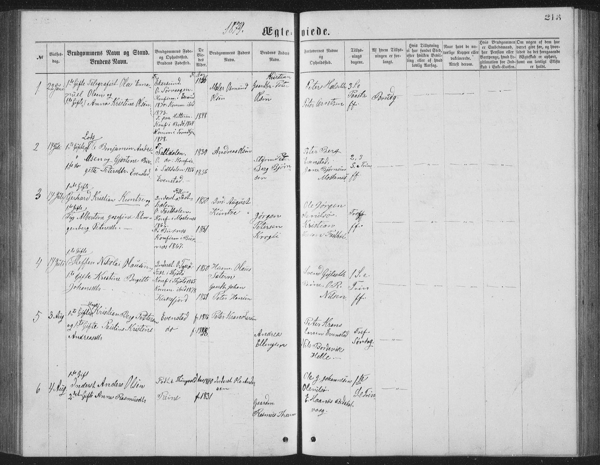 Ministerialprotokoller, klokkerbøker og fødselsregistre - Nordland, AV/SAT-A-1459/886/L1225: Parish register (copy) no. 886C02, 1874-1896, p. 213