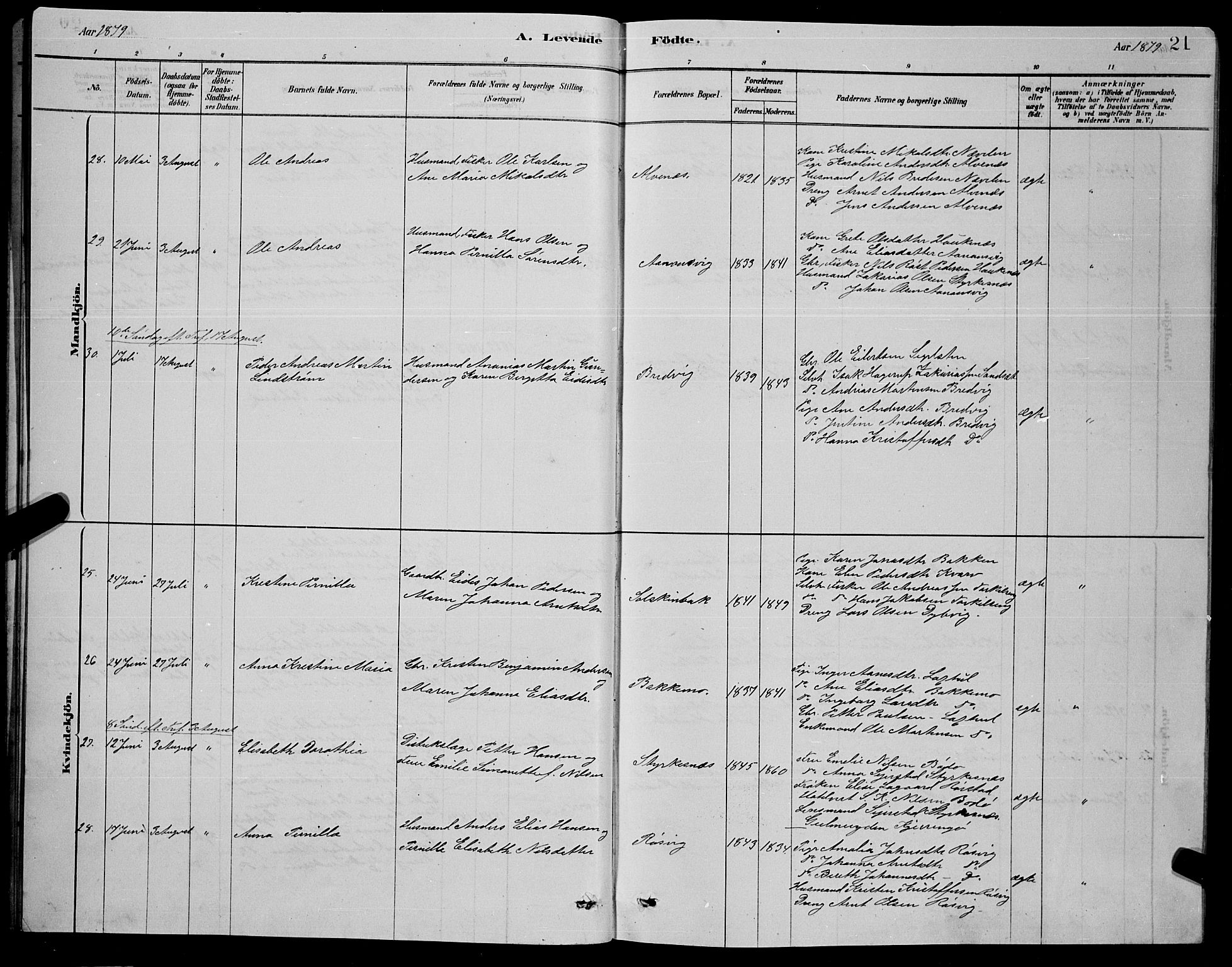 Ministerialprotokoller, klokkerbøker og fødselsregistre - Nordland, AV/SAT-A-1459/853/L0776: Parish register (copy) no. 853C04, 1878-1889, p. 21