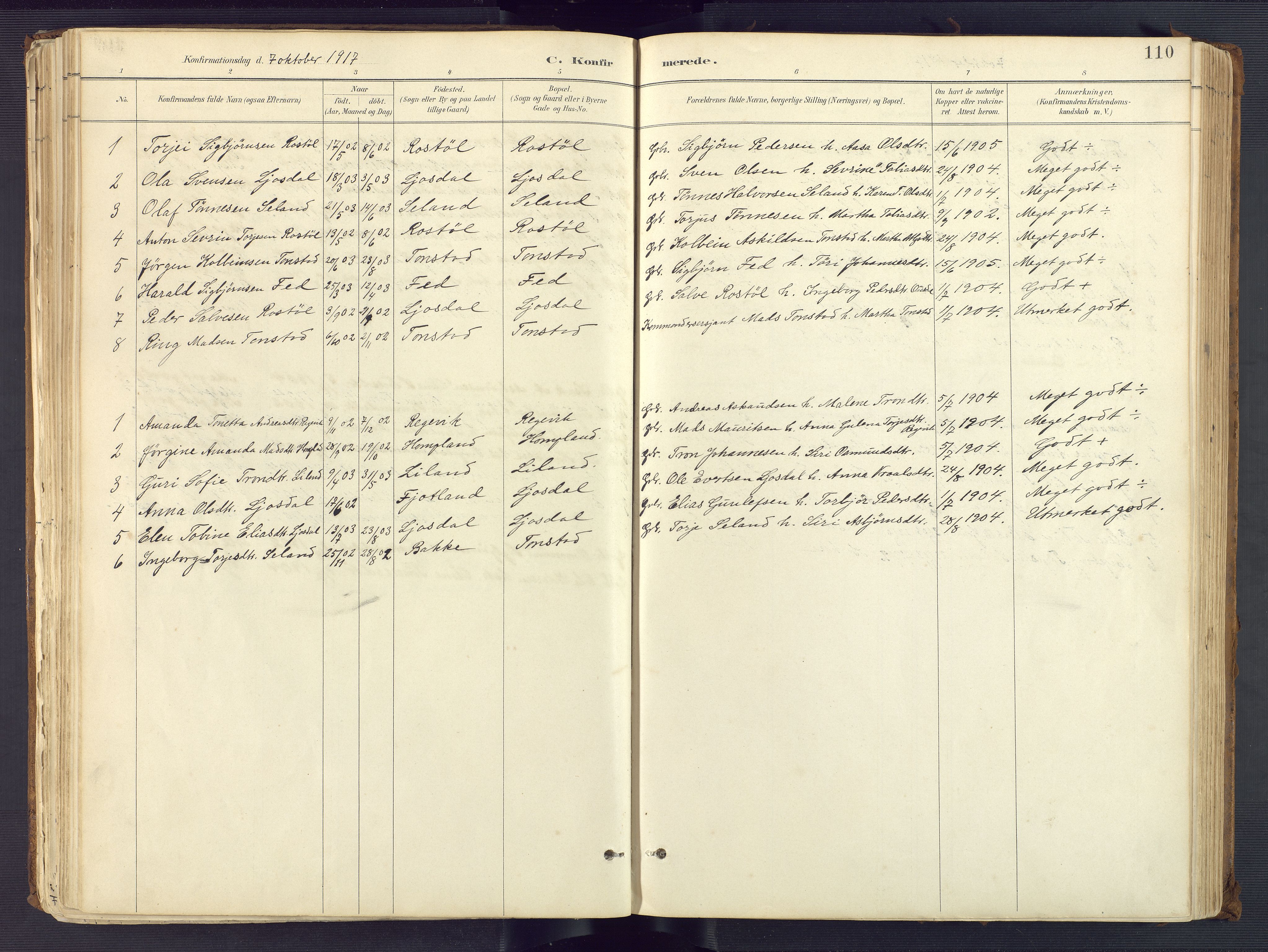 Sirdal sokneprestkontor, AV/SAK-1111-0036/F/Fa/Fab/L0004: Parish register (official) no. A 4, 1887-1919, p. 110