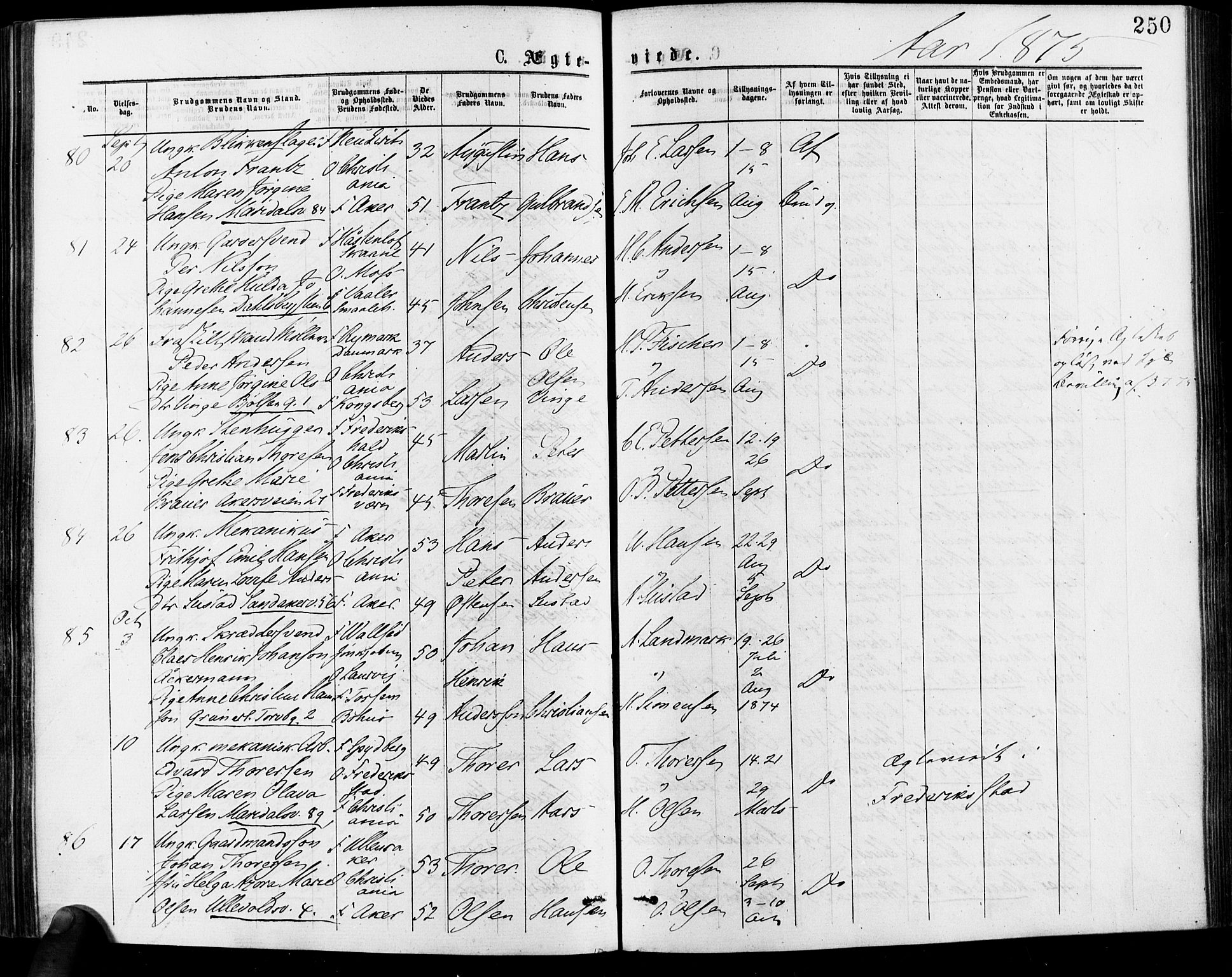 Gamle Aker prestekontor Kirkebøker, AV/SAO-A-10617a/F/L0005: Parish register (official) no. 5, 1873-1881, p. 250