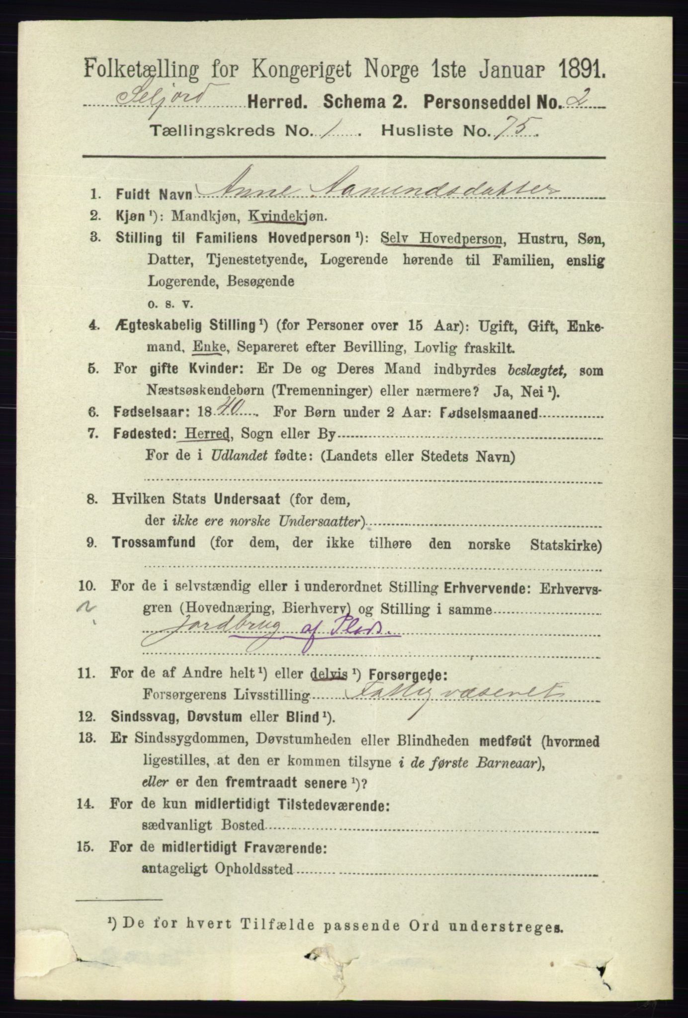 RA, 1891 census for 0828 Seljord, 1891, p. 495