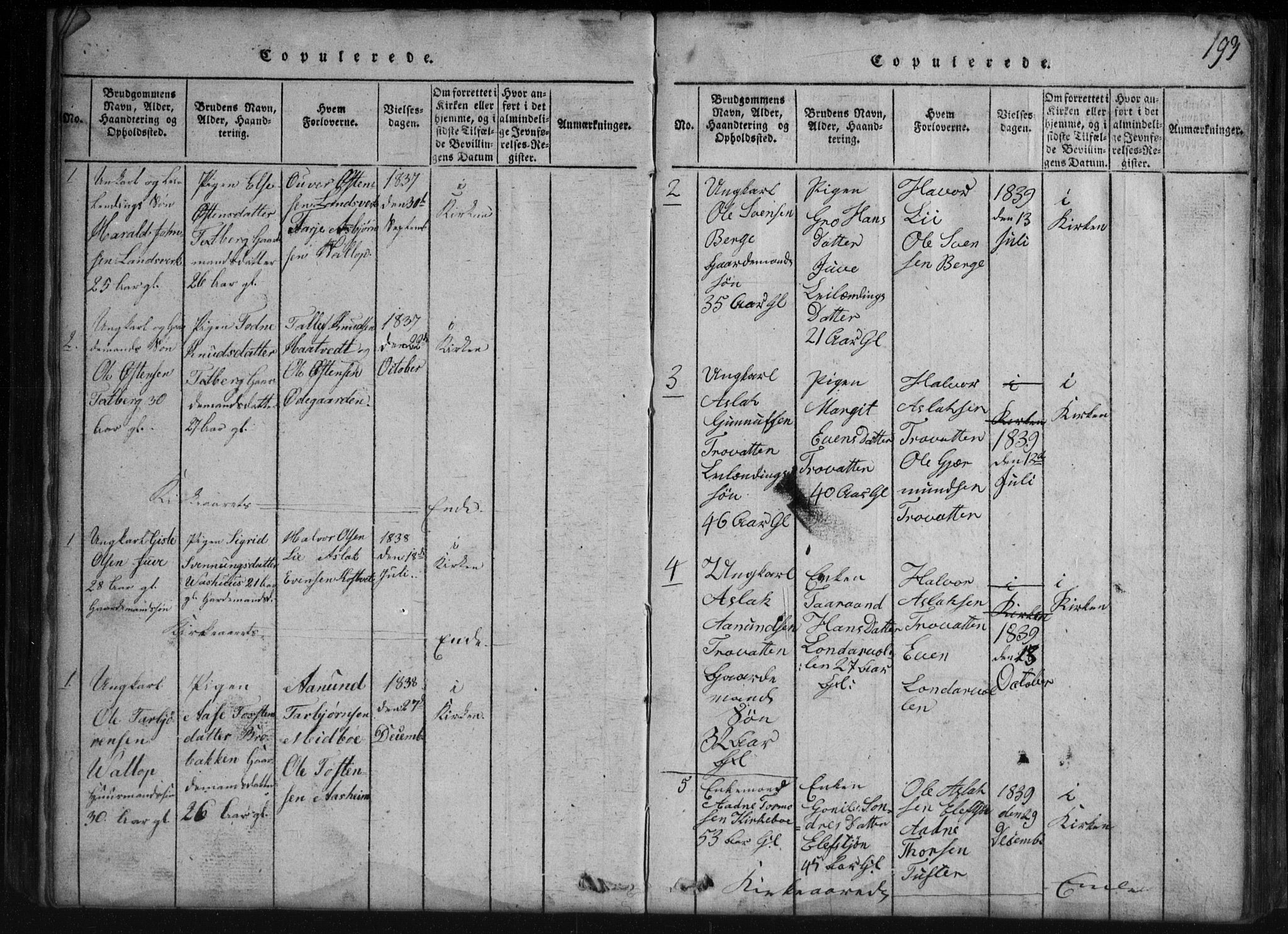 Rauland kirkebøker, AV/SAKO-A-292/G/Gb/L0001: Parish register (copy) no. II 1, 1815-1886, p. 193