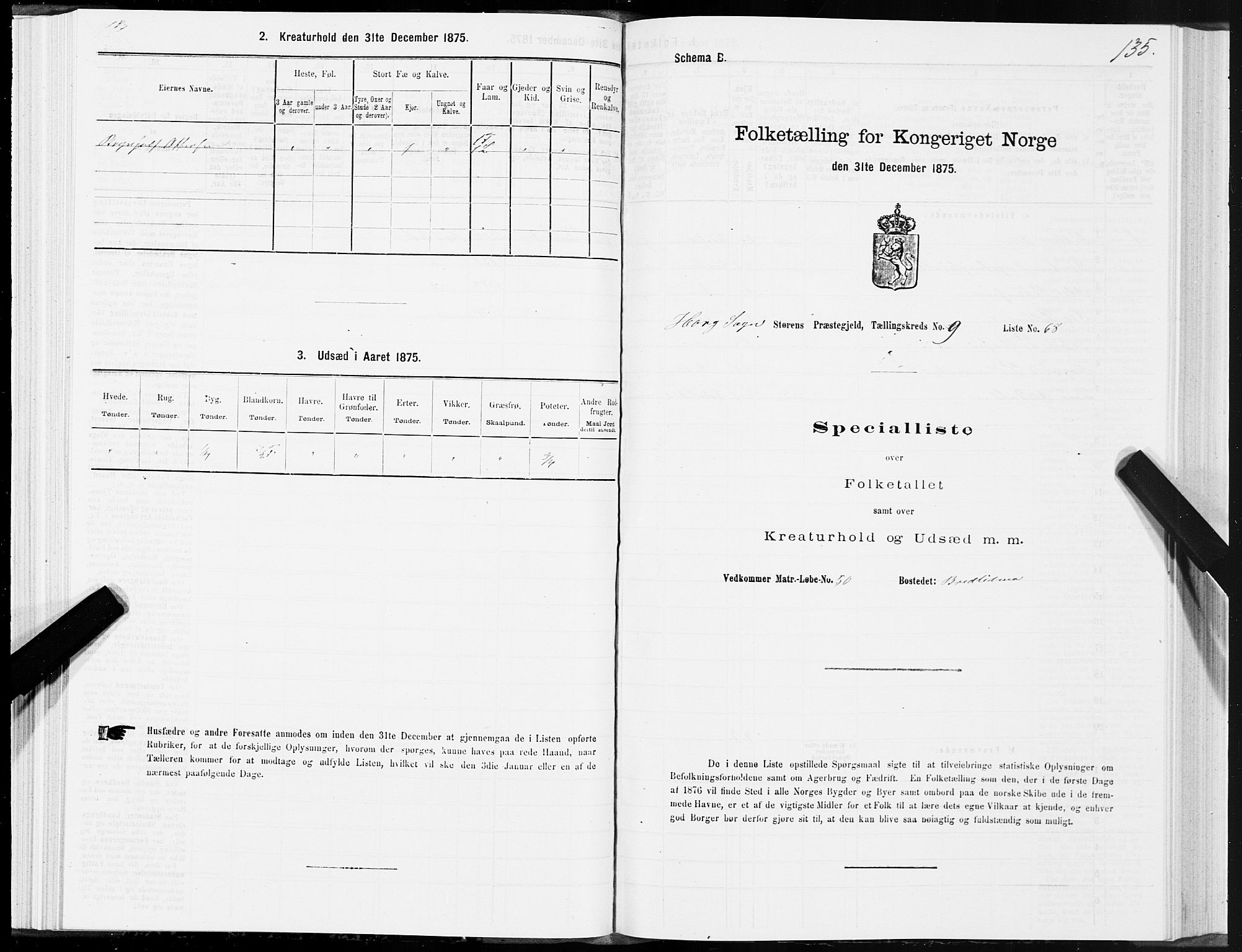 SAT, 1875 census for 1648P Støren, 1875, p. 5135