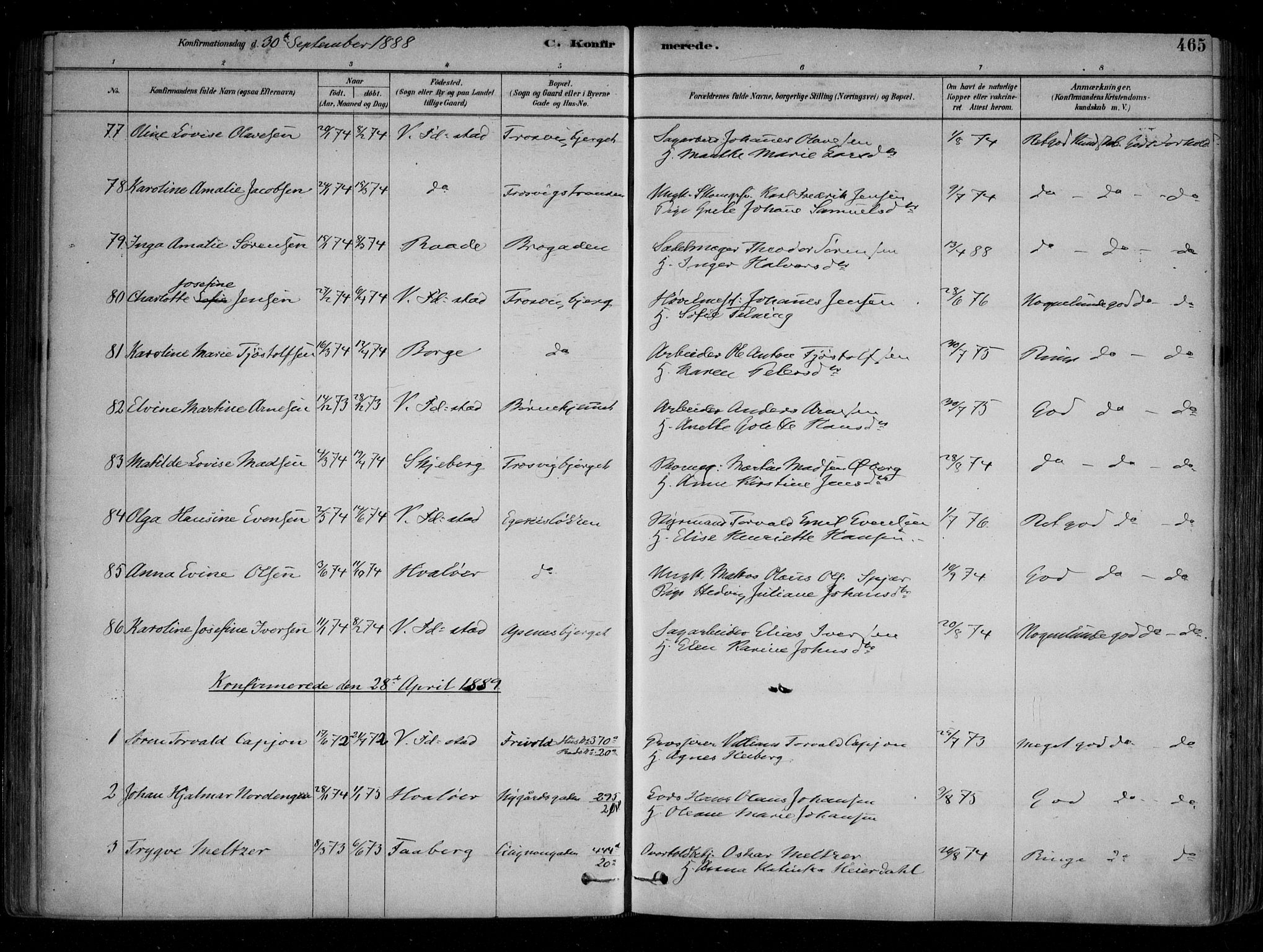 Fredrikstad domkirkes prestekontor Kirkebøker, SAO/A-10906/F/Fa/L0004: Parish register (official) no. 4, 1878-1907, p. 465