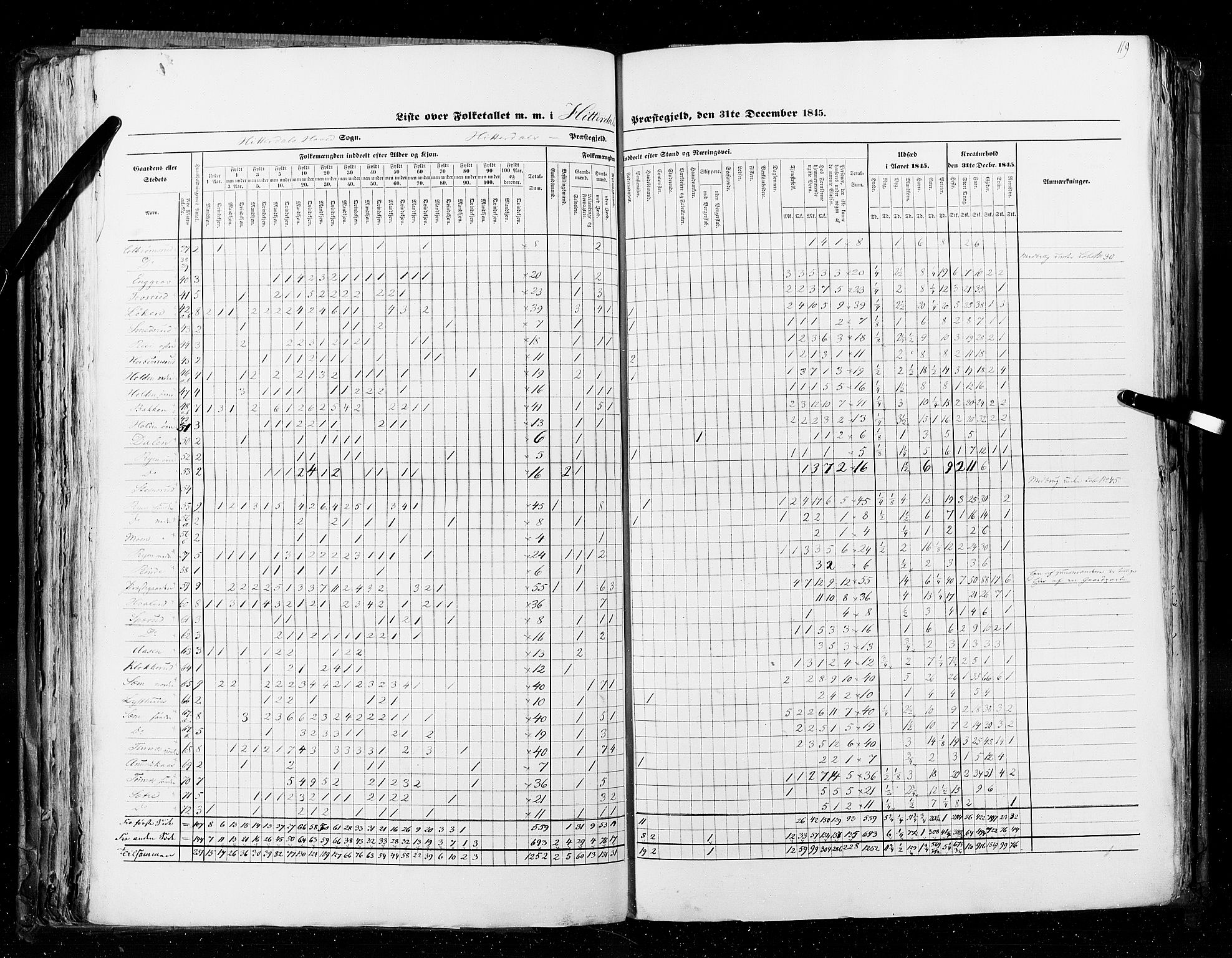 RA, Census 1845, vol. 5: Bratsberg amt og Nedenes og Råbyggelaget amt, 1845, p. 119