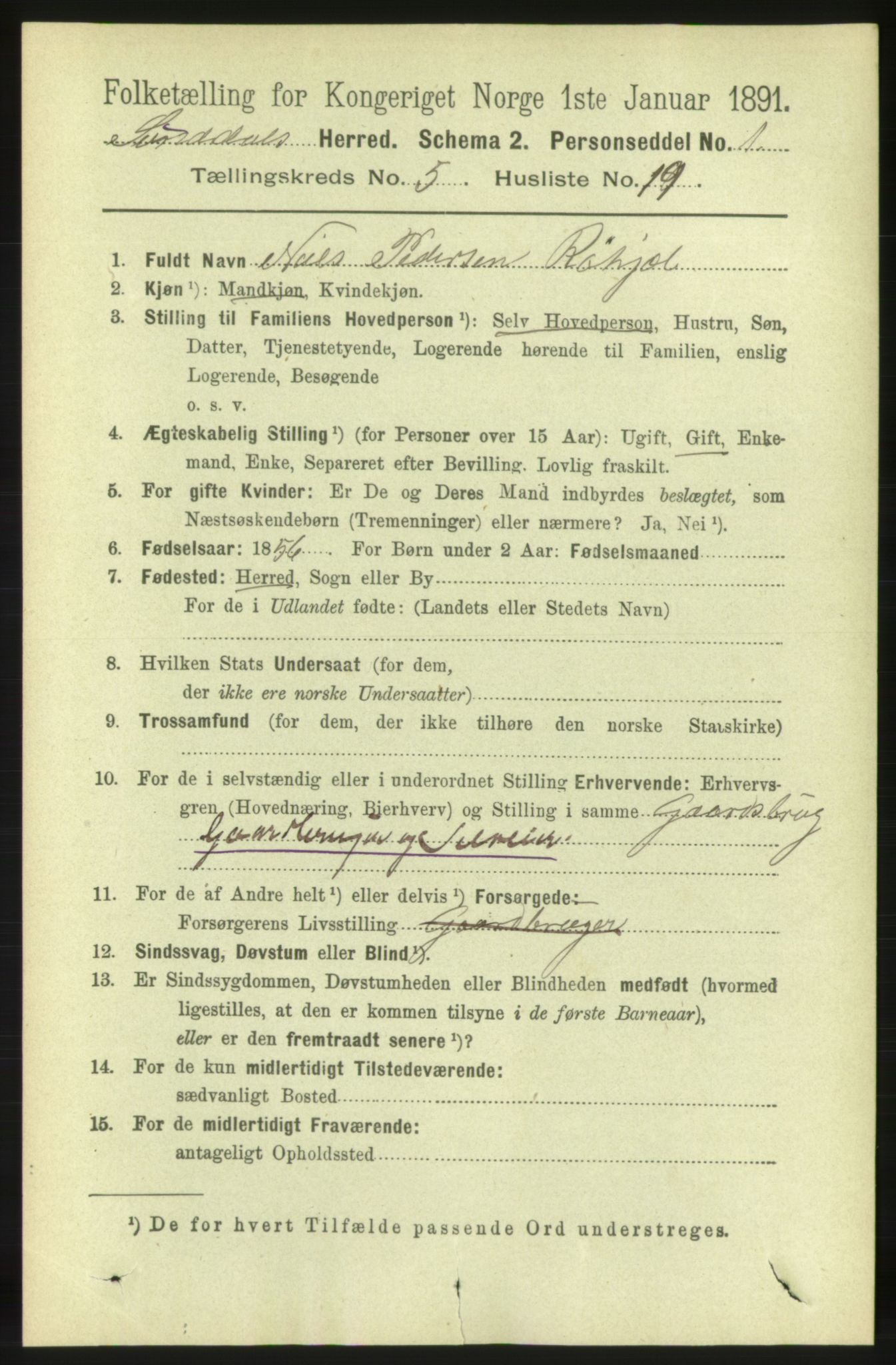 RA, 1891 census for 1563 Sunndal, 1891, p. 1356