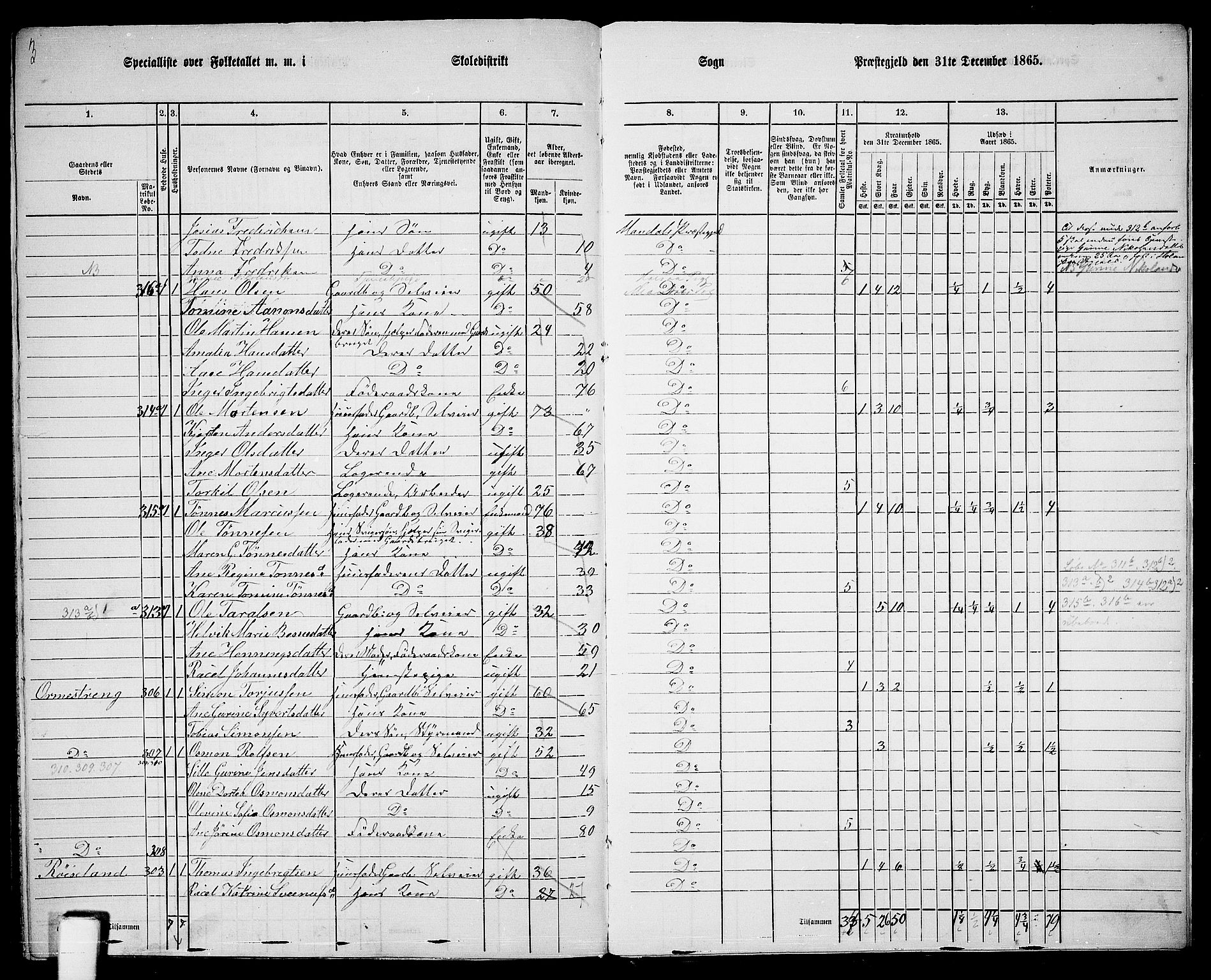 RA, 1865 census for Mandal/Halse og Harkmark, 1865, p. 125