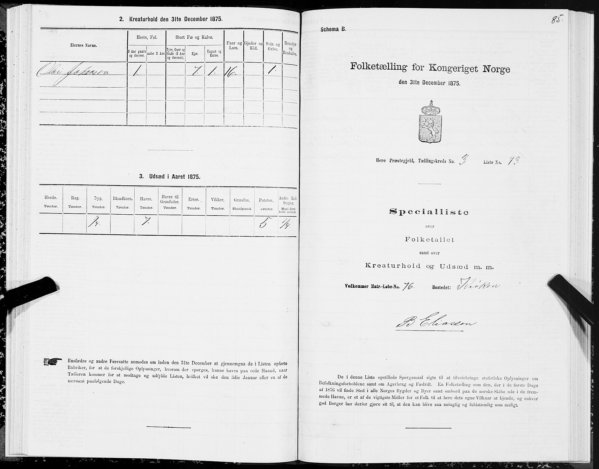 SAT, 1875 census for 1515P Herøy, 1875, p. 2085