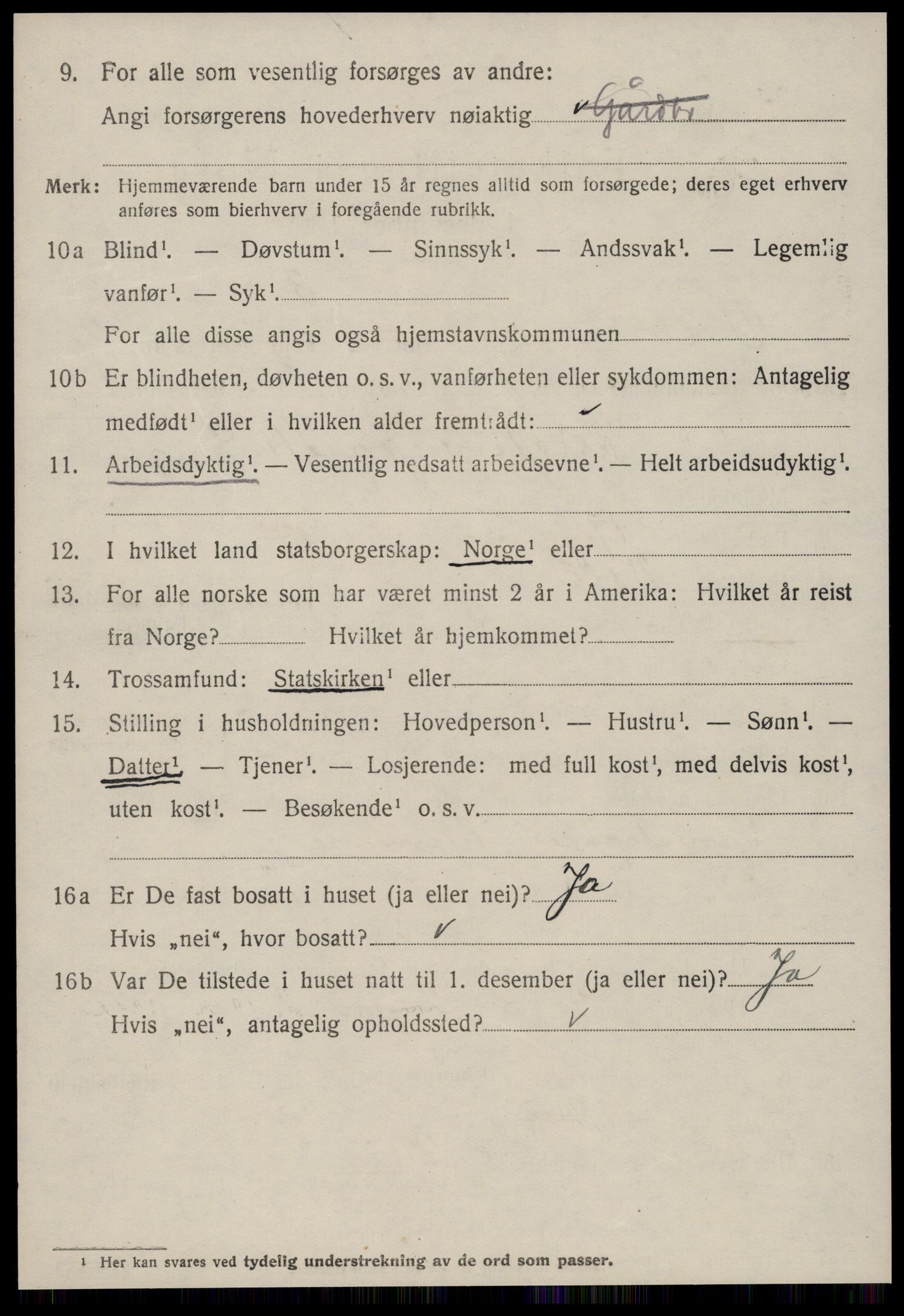 SAT, 1920 census for Voll, 1920, p. 802