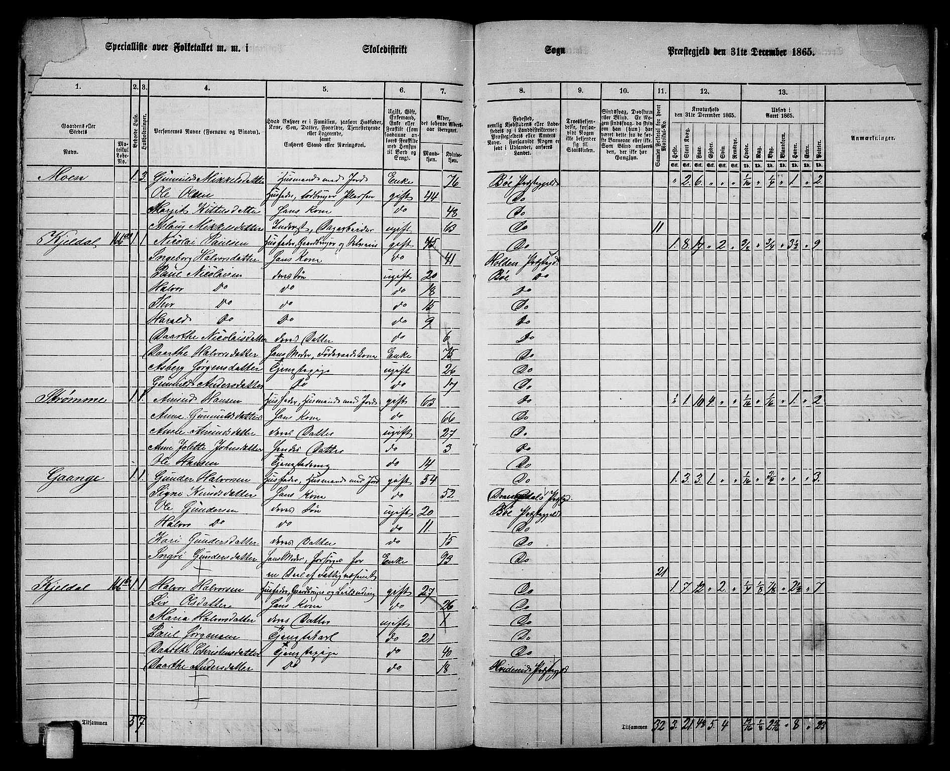 RA, 1865 census for Bø, 1865, p. 212