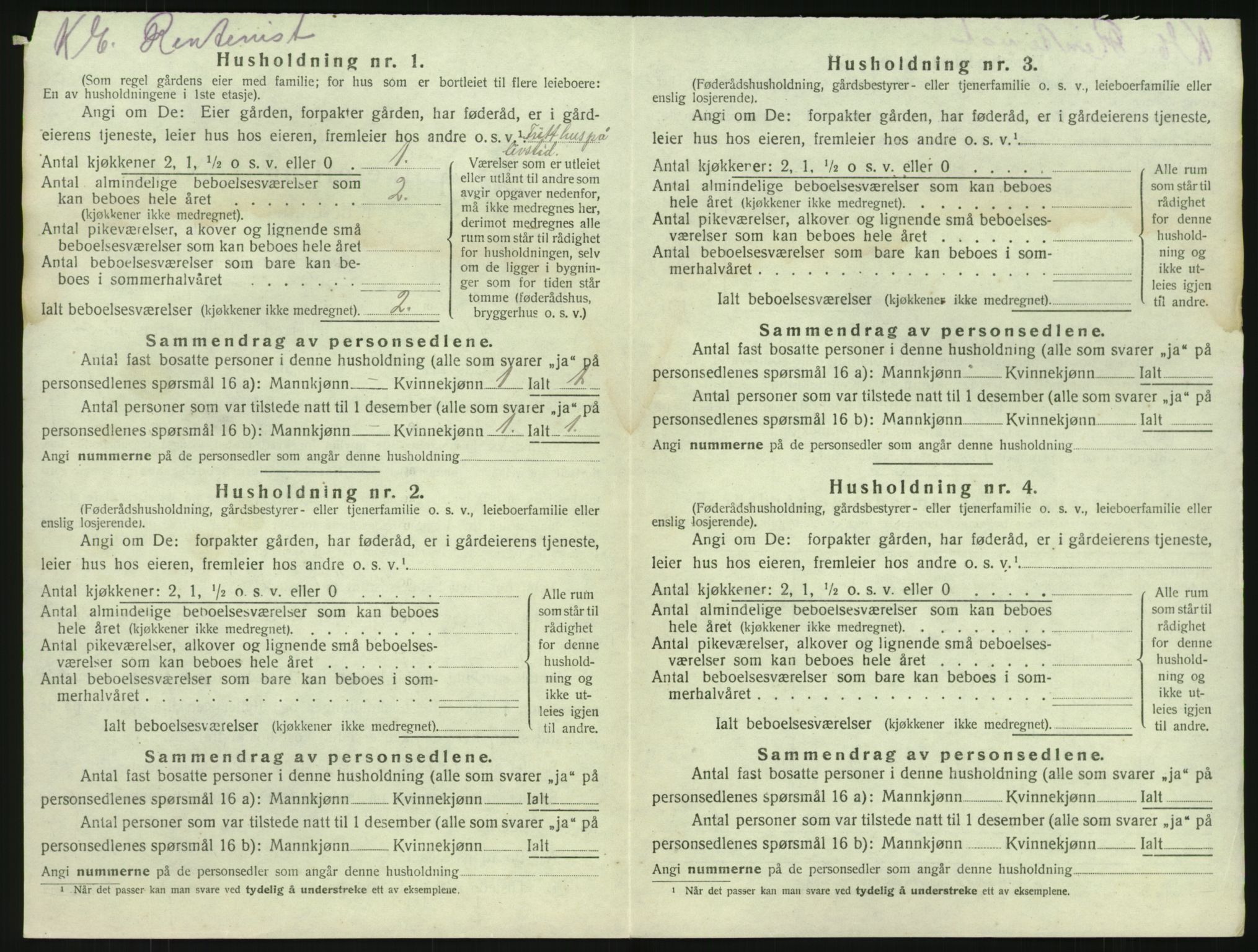 SAKO, 1920 census for Brunlanes, 1920, p. 314