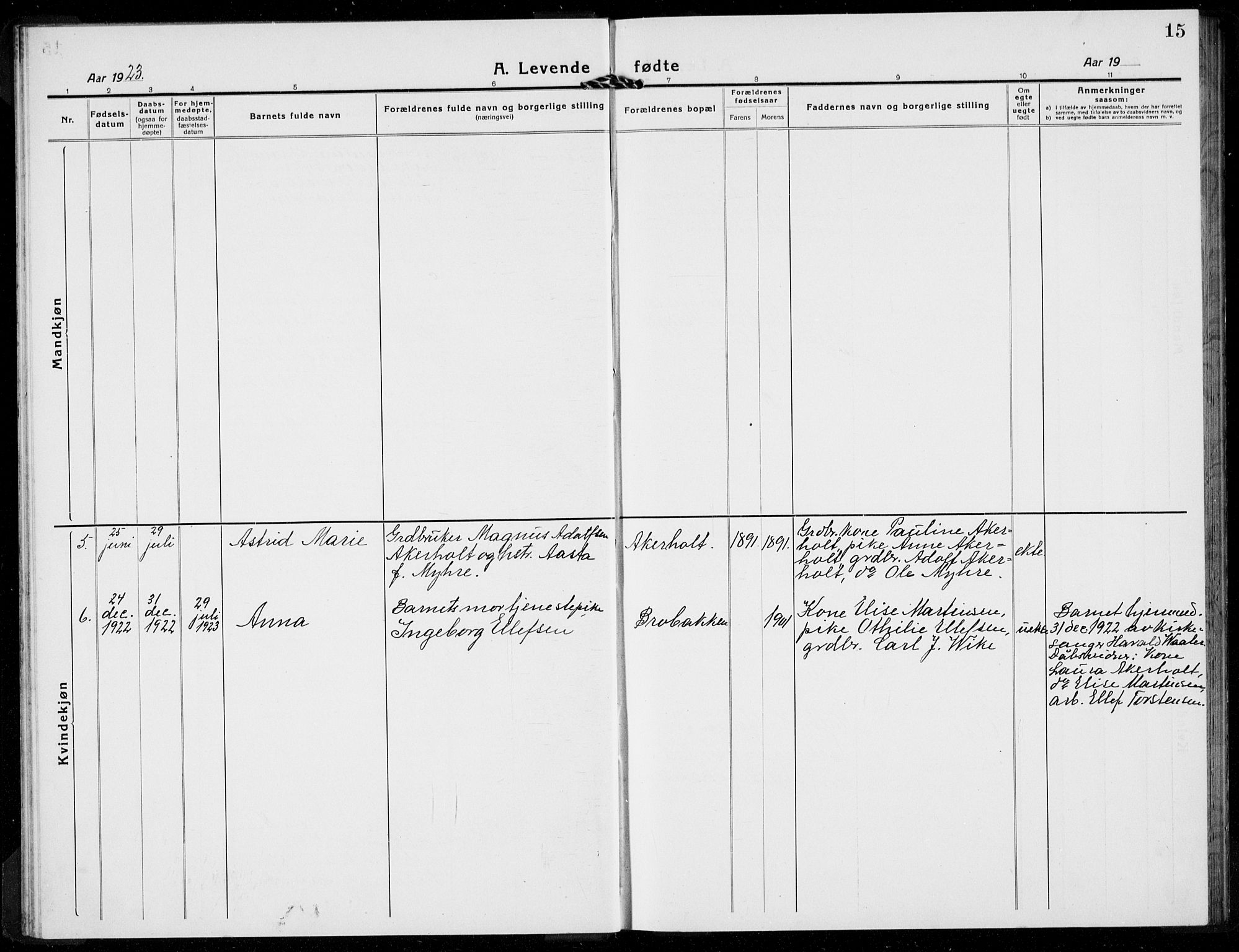 Hof kirkebøker, AV/SAKO-A-64/G/Gb/L0004: Parish register (copy) no. II 4, 1917-1934, p. 15