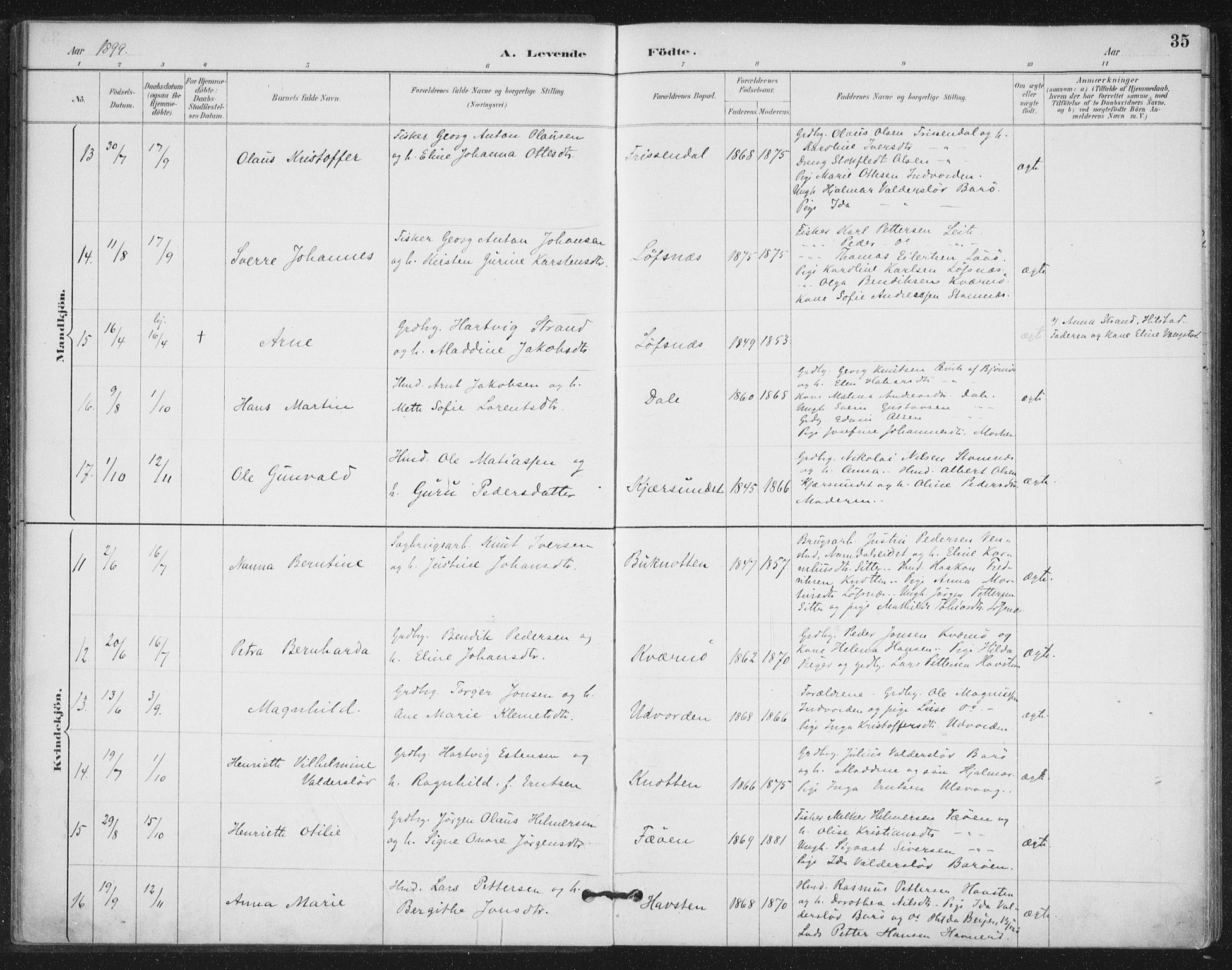 Ministerialprotokoller, klokkerbøker og fødselsregistre - Nord-Trøndelag, SAT/A-1458/772/L0603: Parish register (official) no. 772A01, 1885-1912, p. 35
