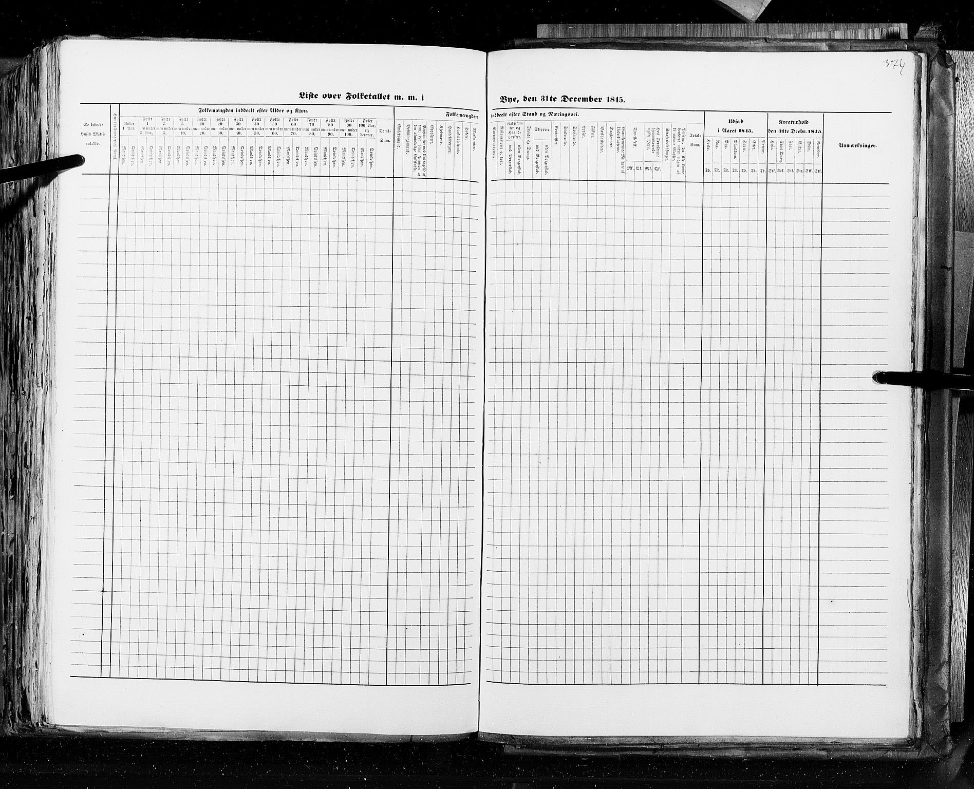 RA, Census 1845, vol. 10: Cities, 1845, p. 374